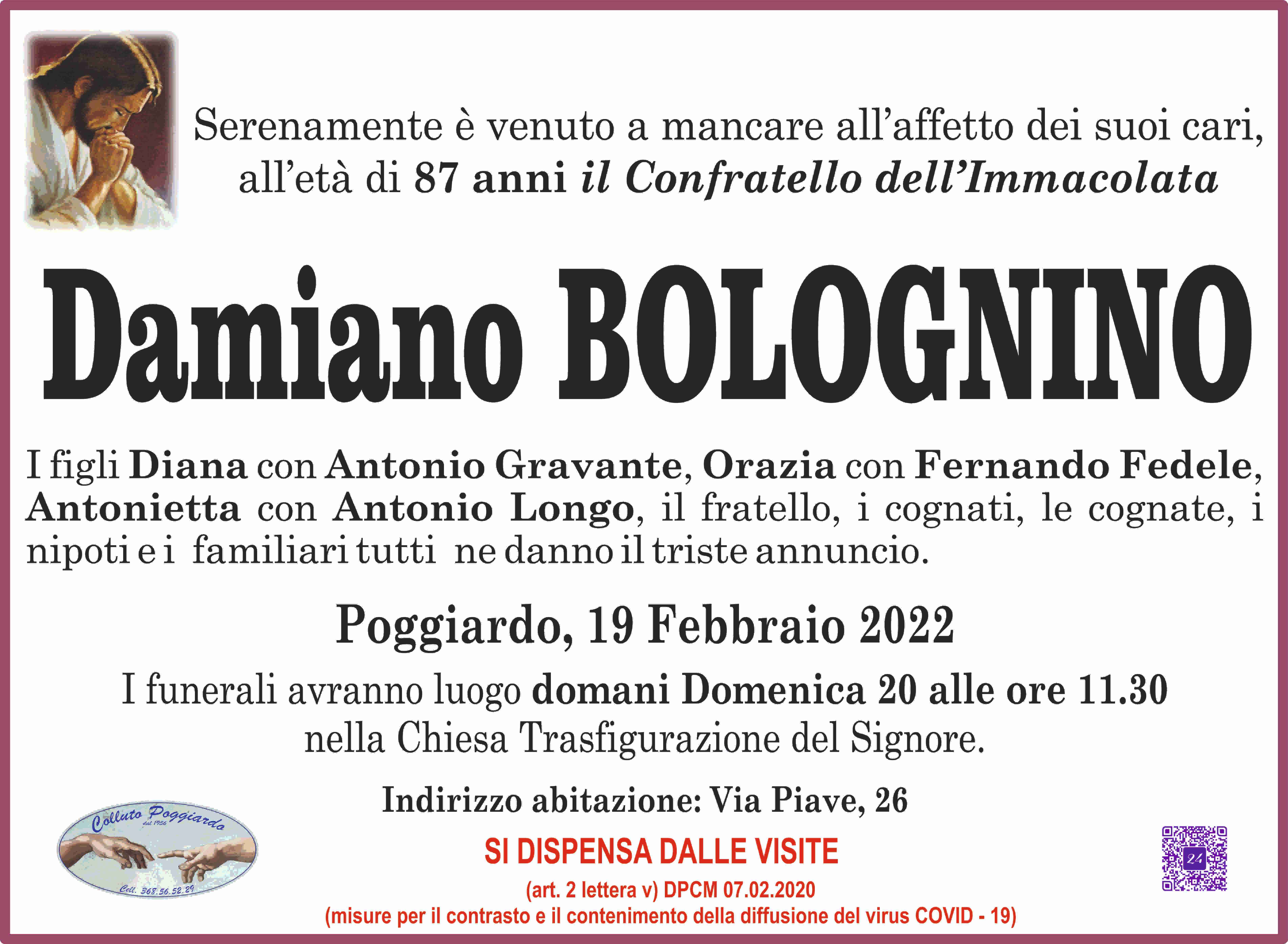 Damiano Bolognino