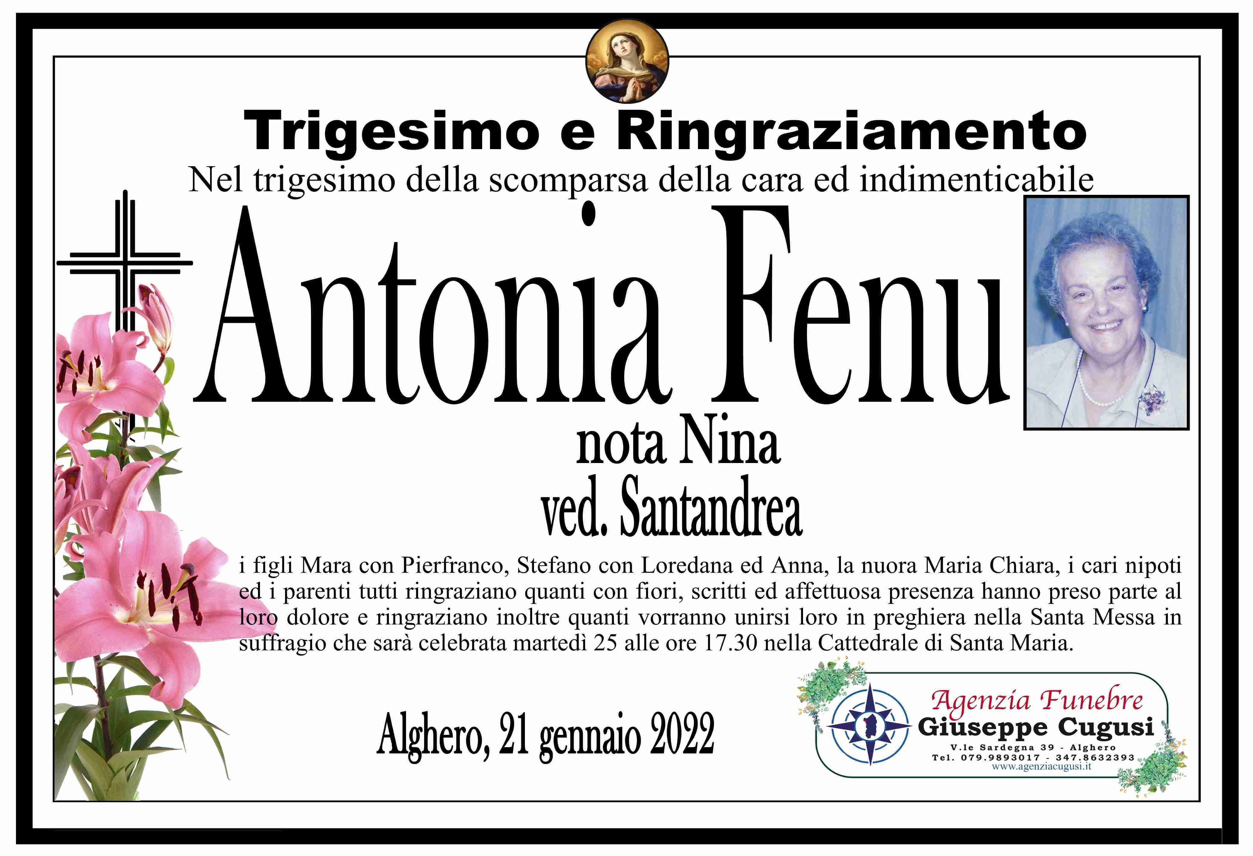 Antonia Fenu