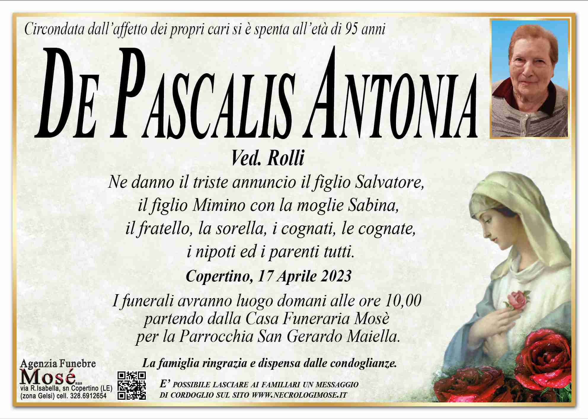 De Pascalis Antonia