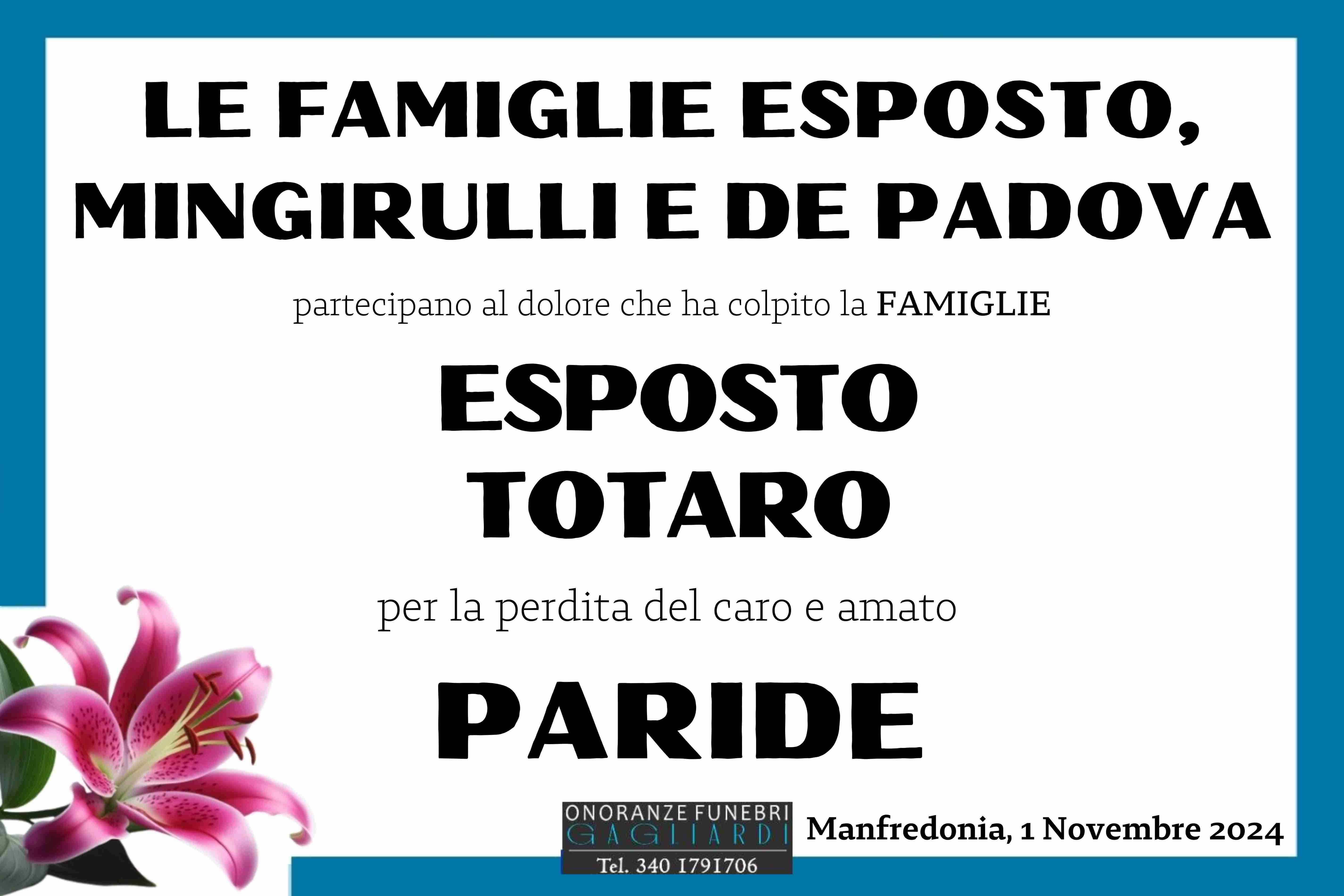 Paride Massimo Esposto