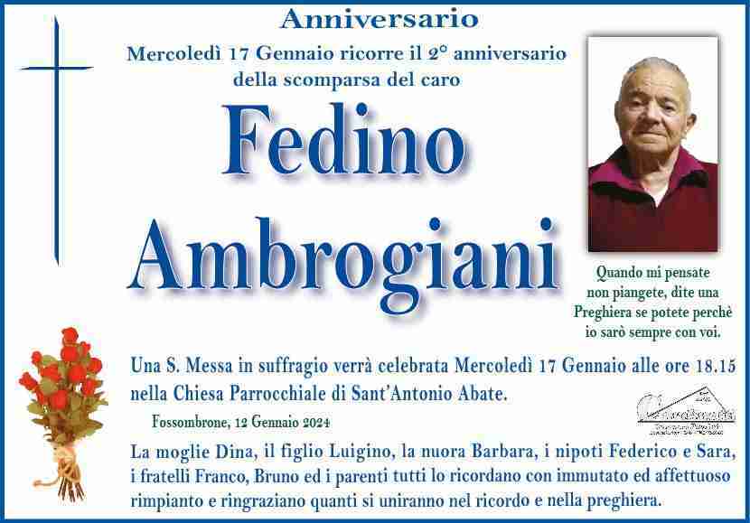 Fedino Ambrogiani