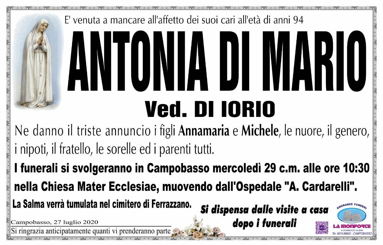 Antonia Di Mario