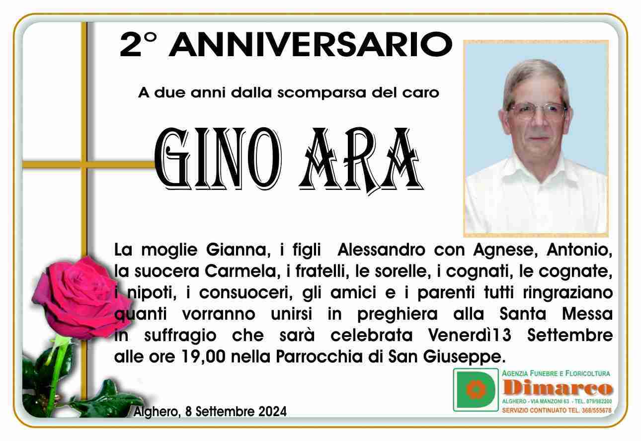 Gino Ara