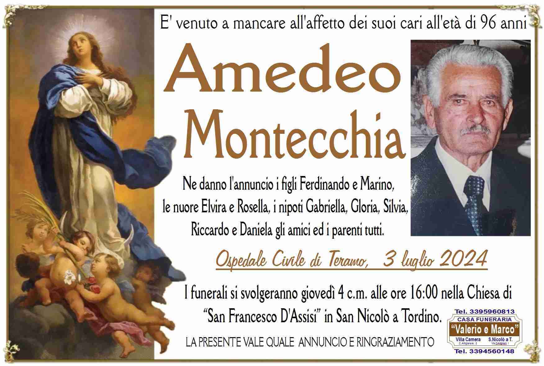 Amedeo Montecchia