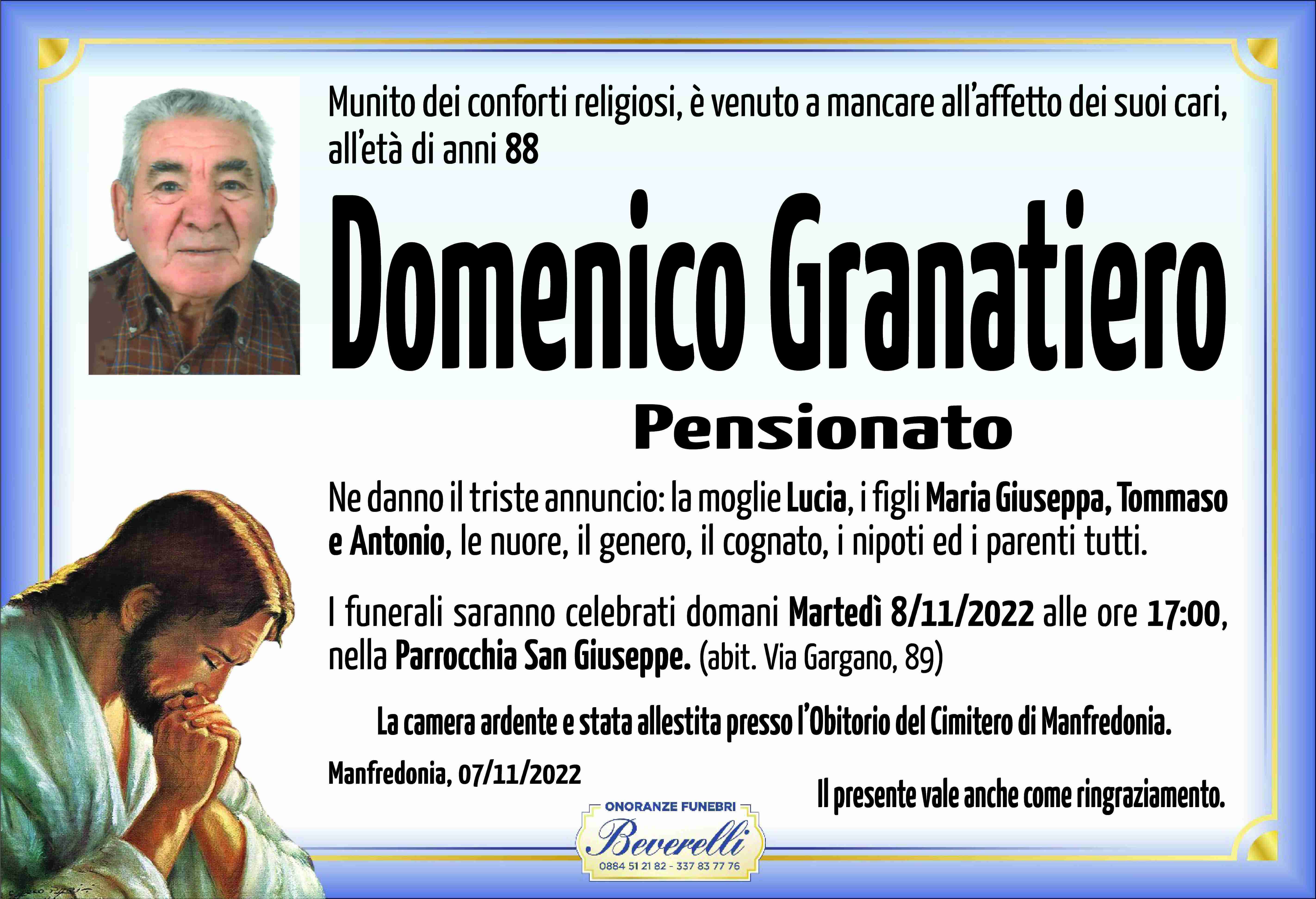 Domenico Granatiero