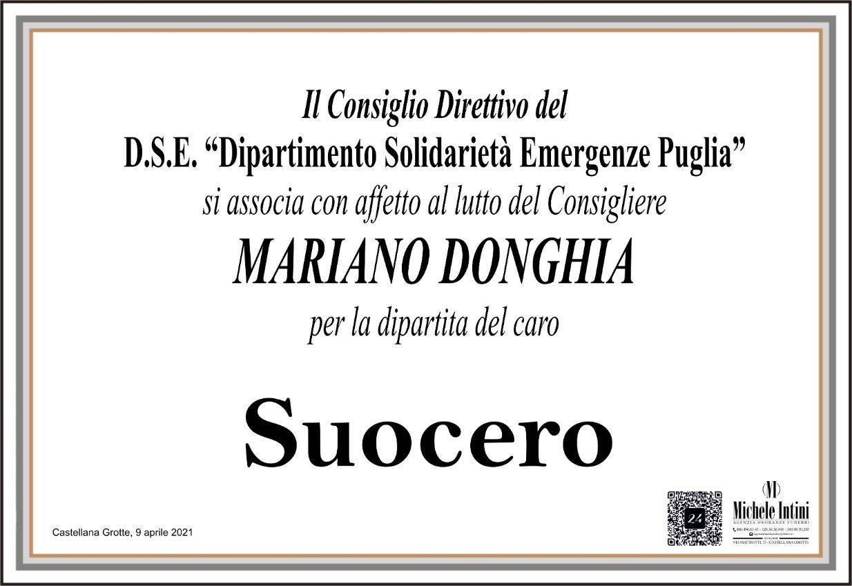 D.S.E. "Dipartimento Solidarietà Emergenze Puglia"