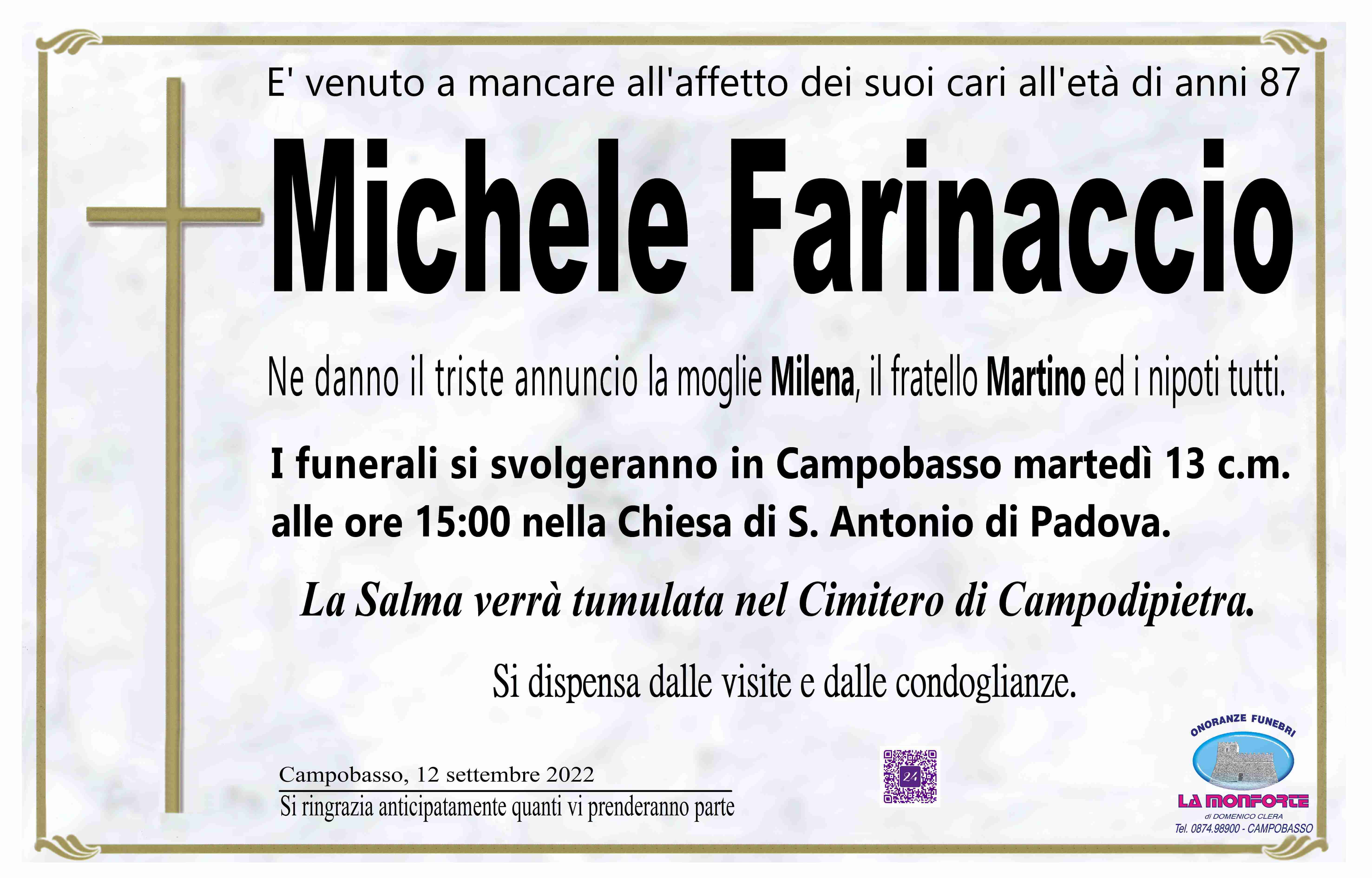 Michele Farinaccio