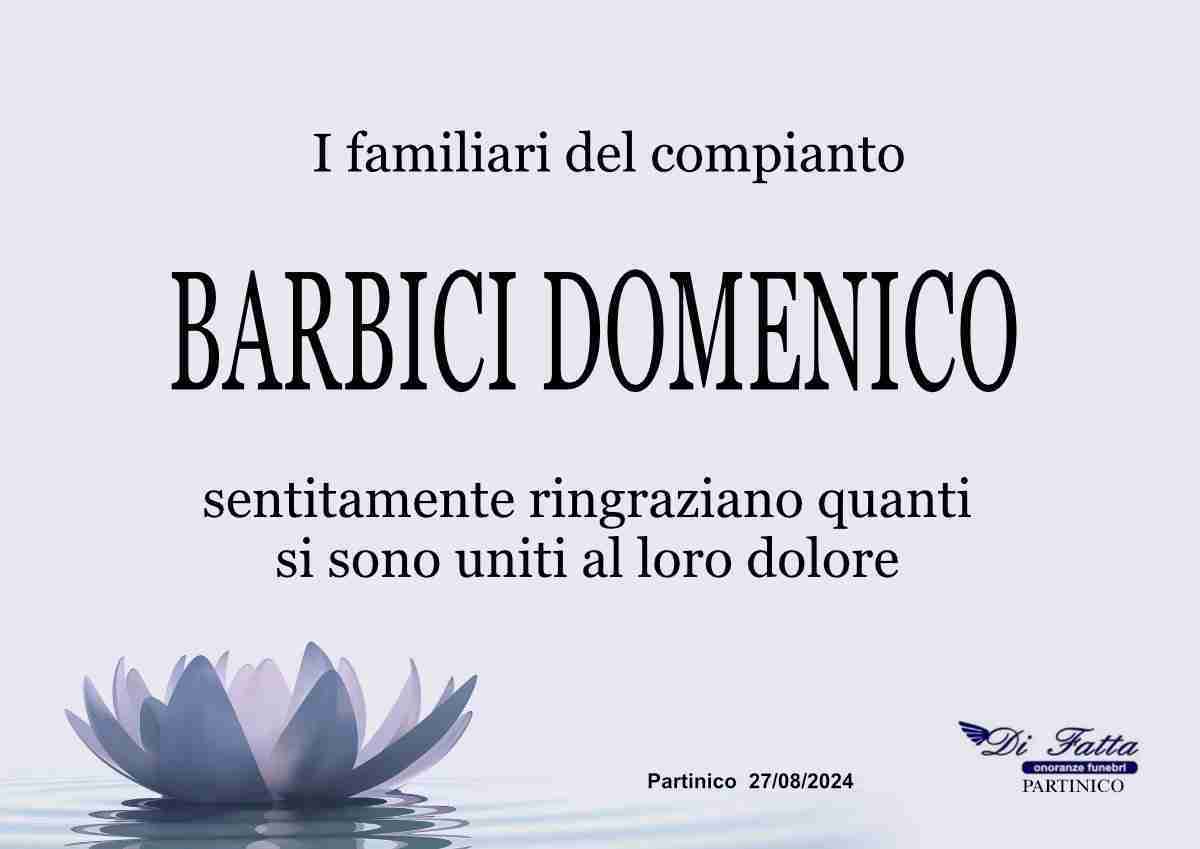 Domenico Barbici