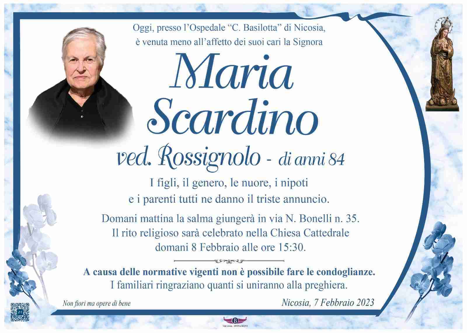 Maria Scardino