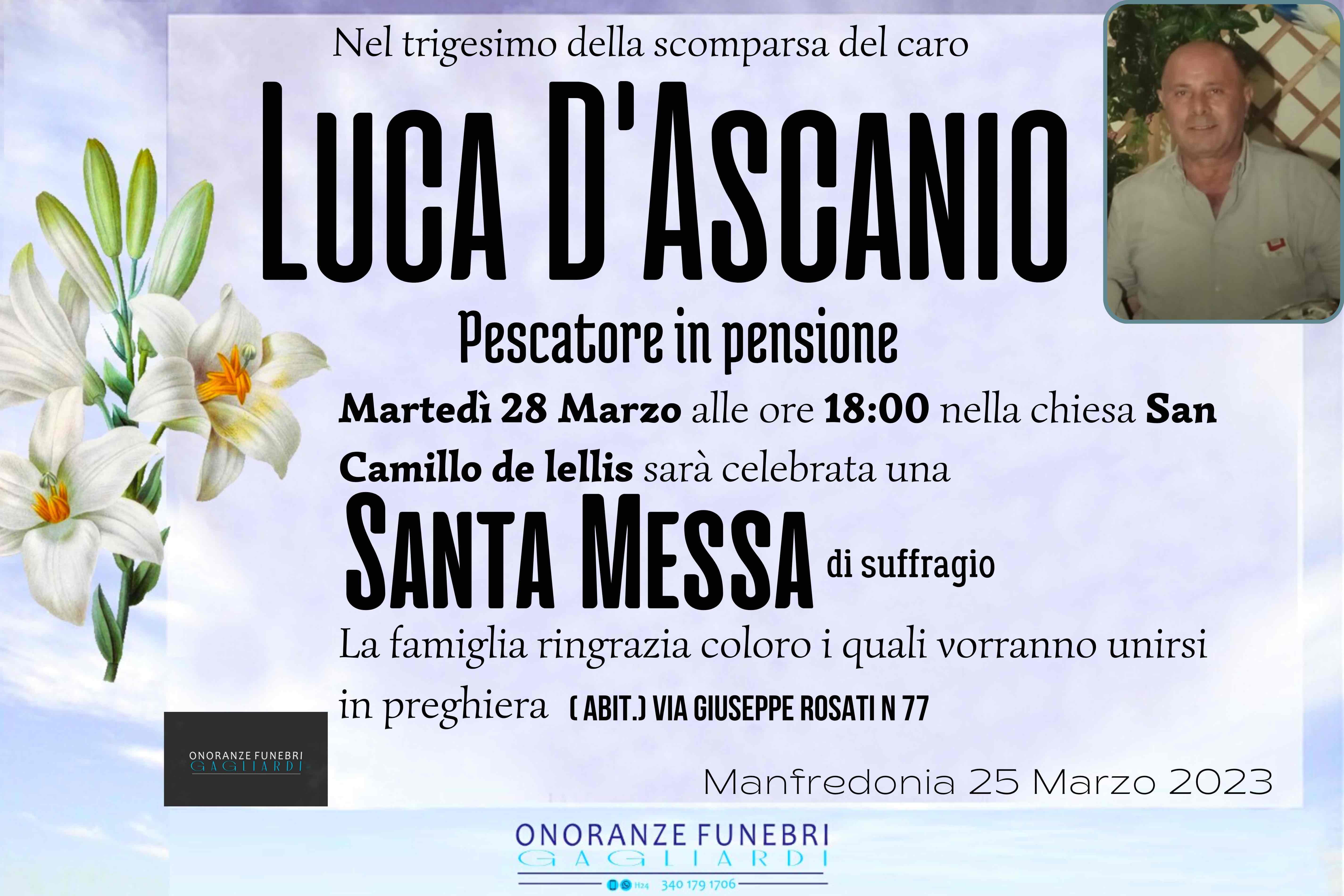 Luca D'Ascanio