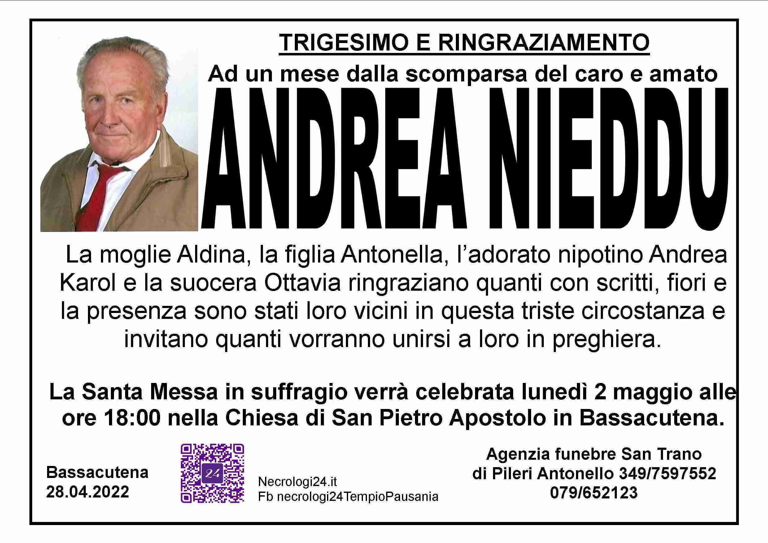 Andrea Nieddu
