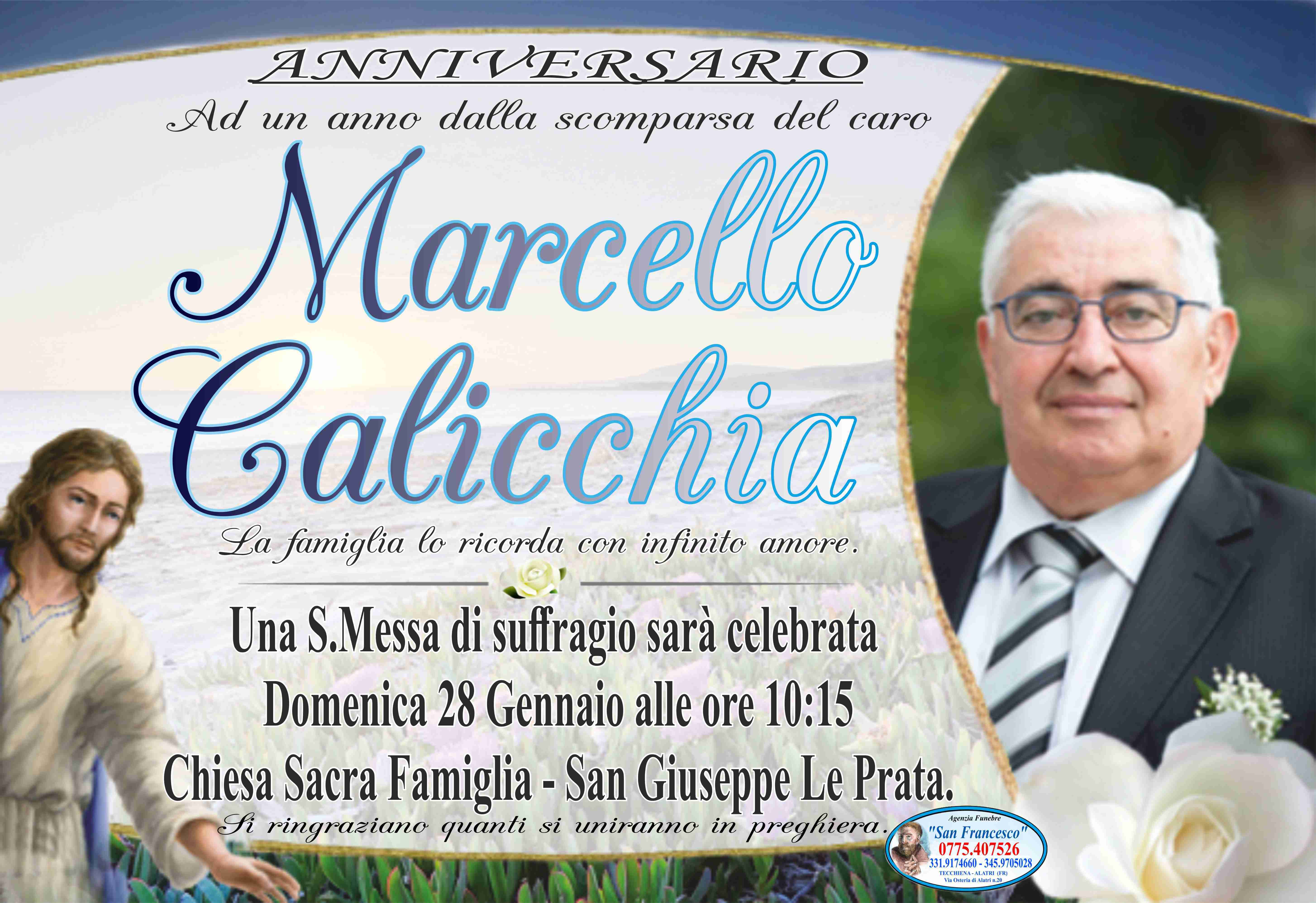Marcello Calicchia