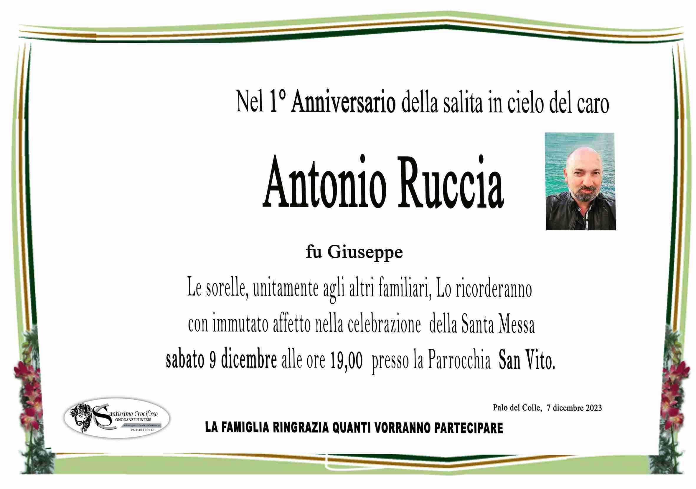 Antonio Ruccia
