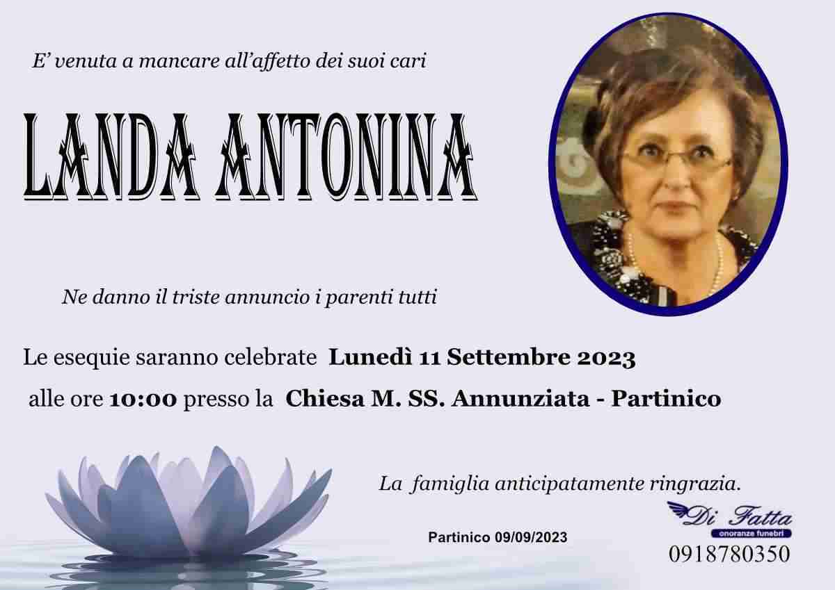 Antonina Landa