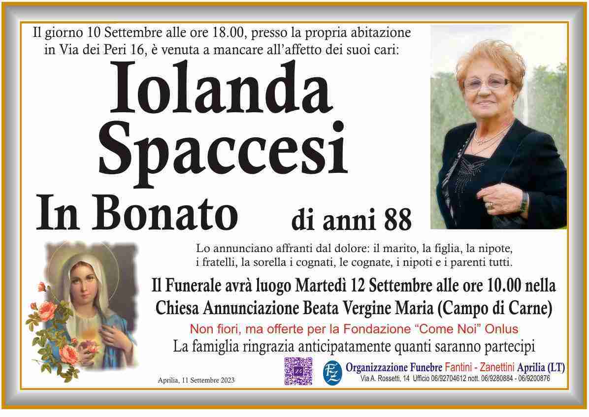 Iolanda Spaccesi