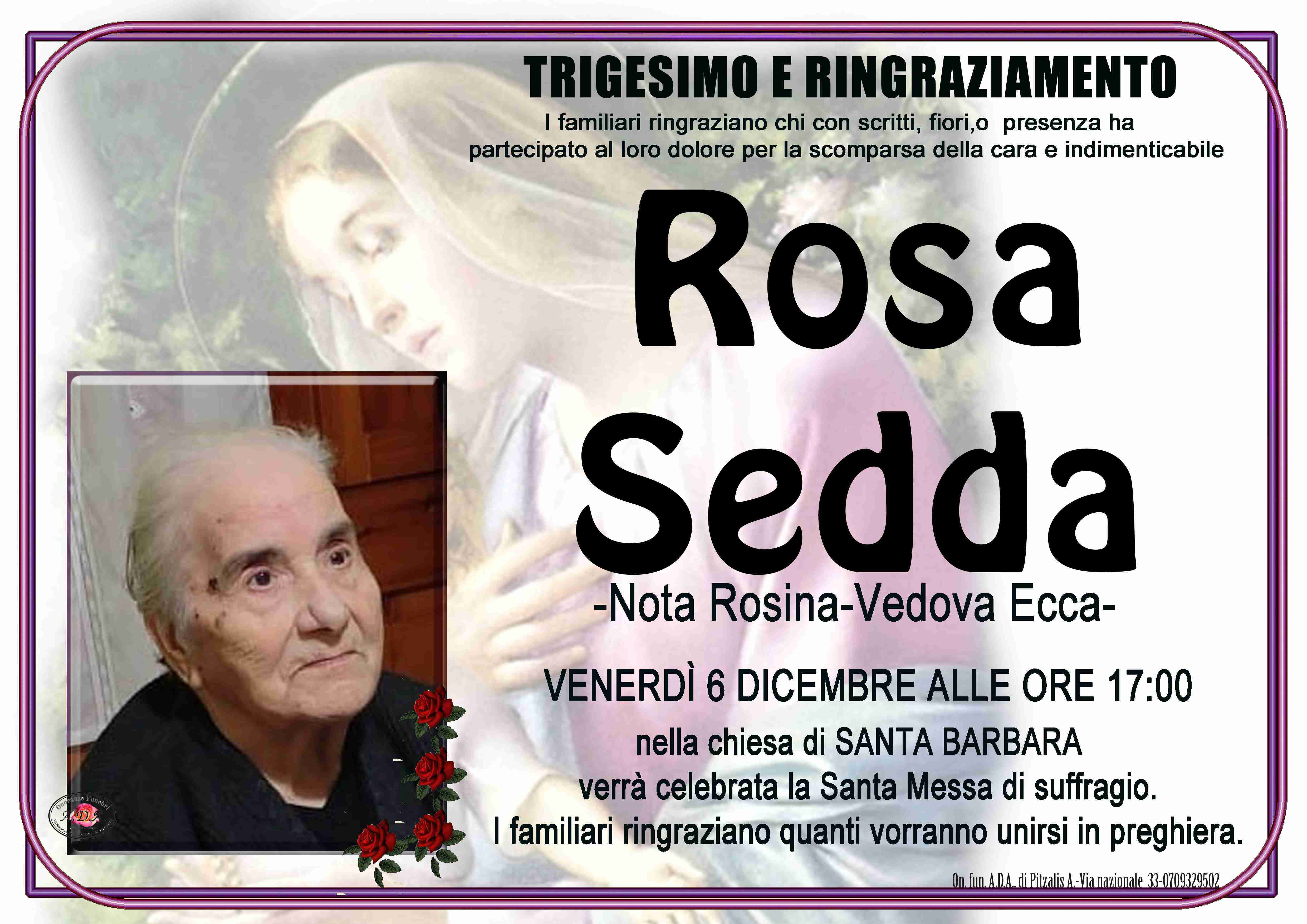 Rosa Sedda