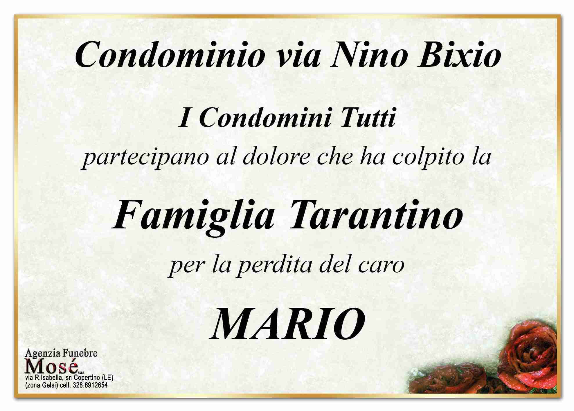 Mario Tarantino