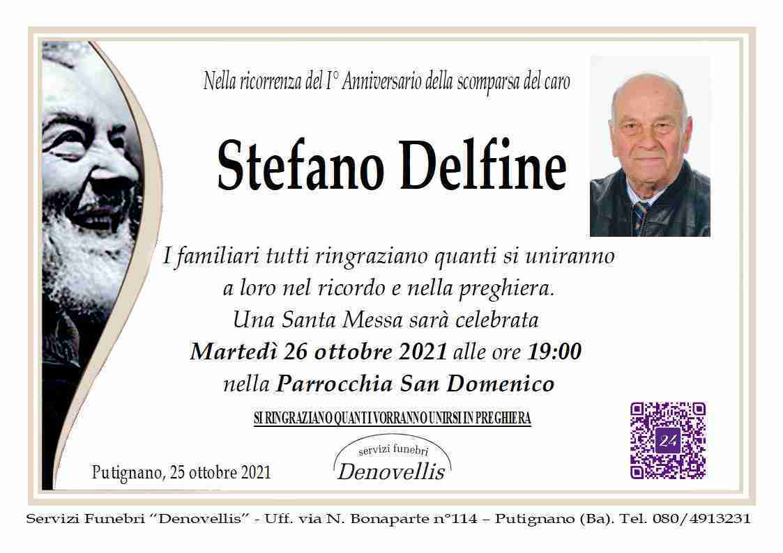 Stefano Delfine