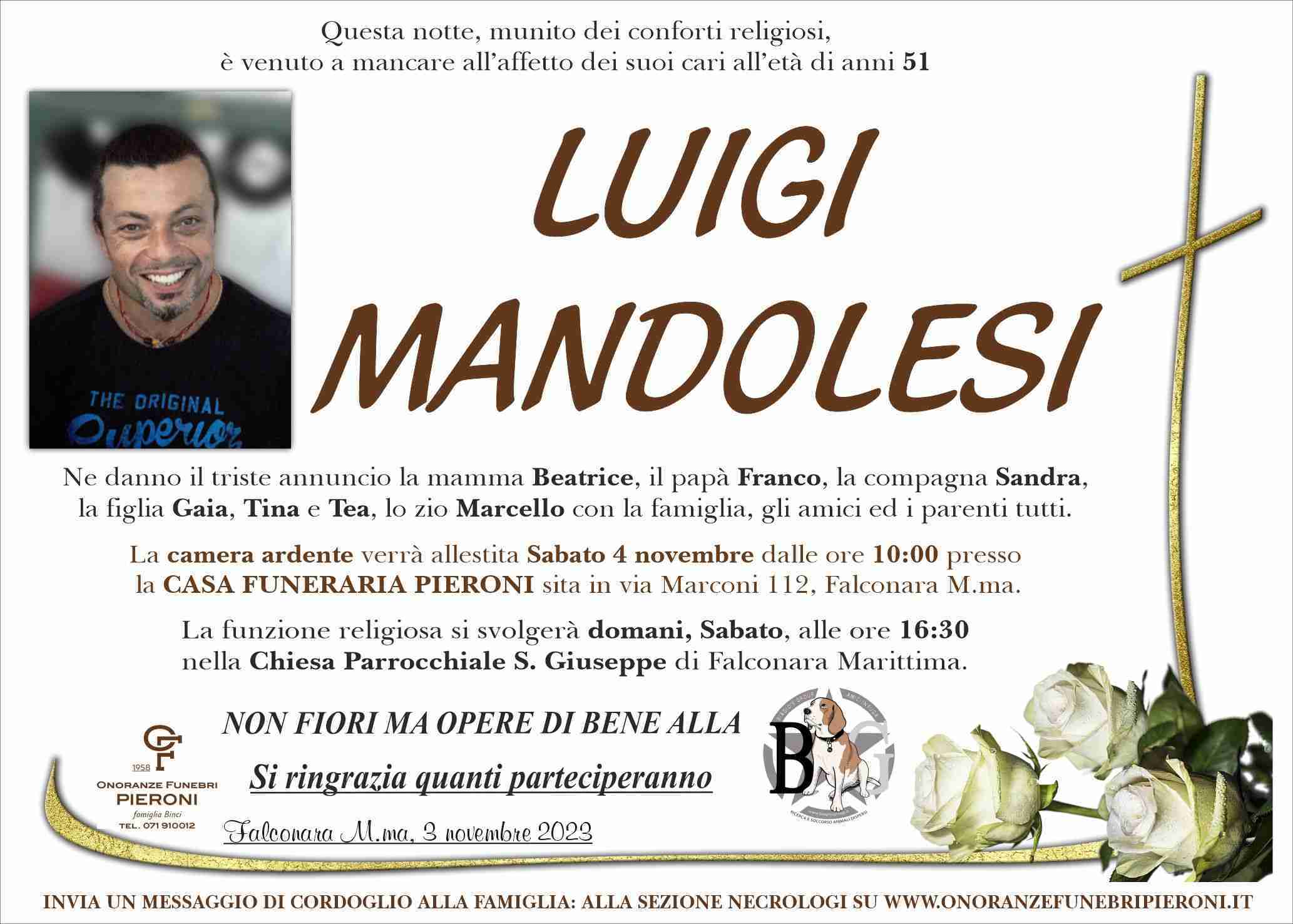 Luigi Mandolesi