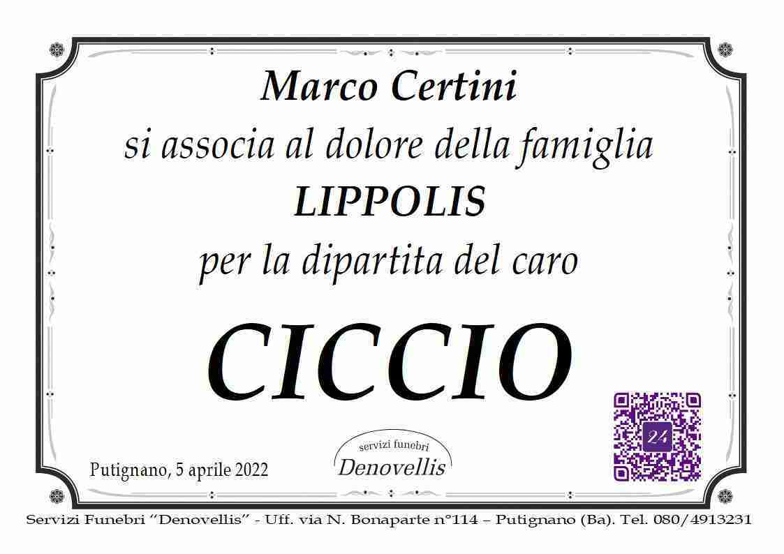 Ciccio Lippolis