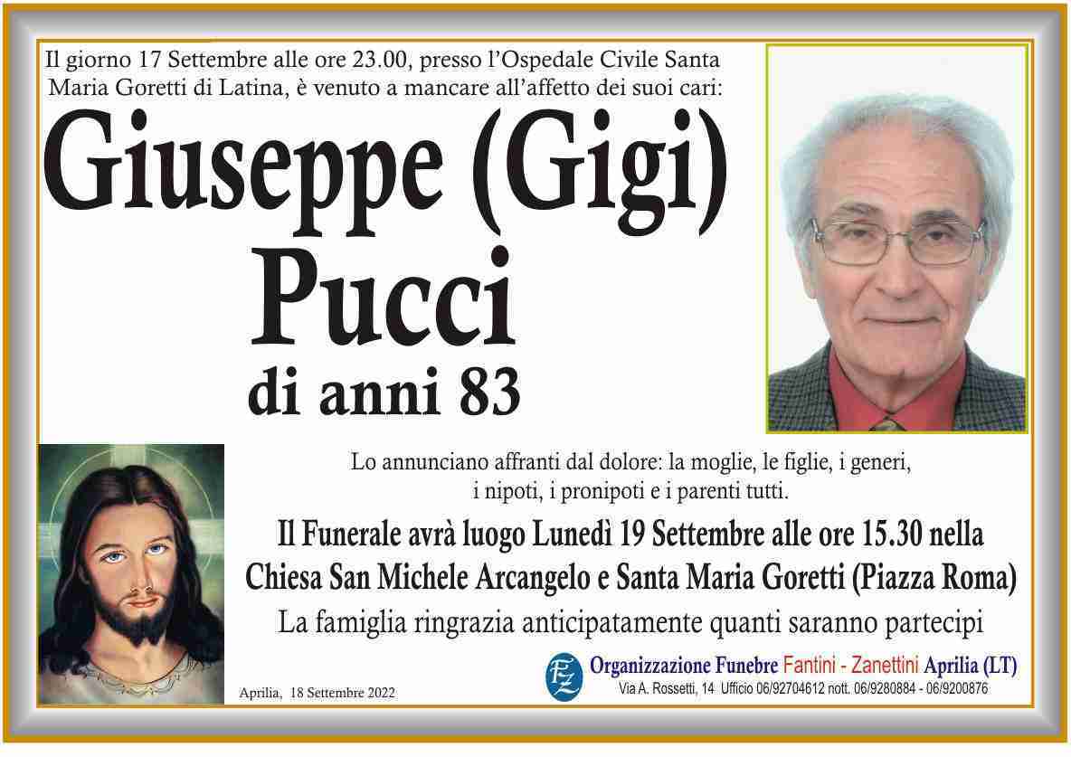 Giuseppe (Gigi) Pucci