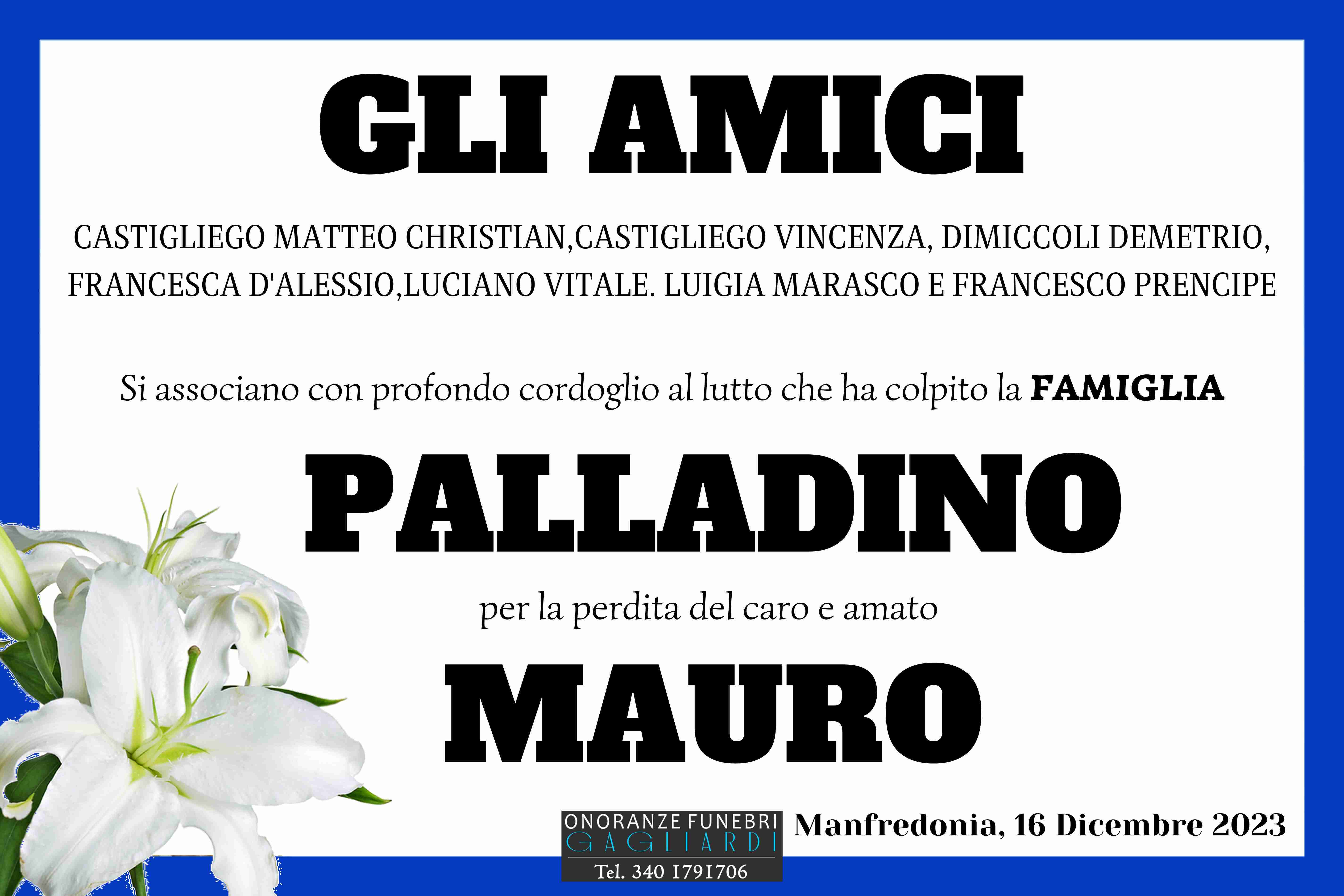 Mauro Palladino
