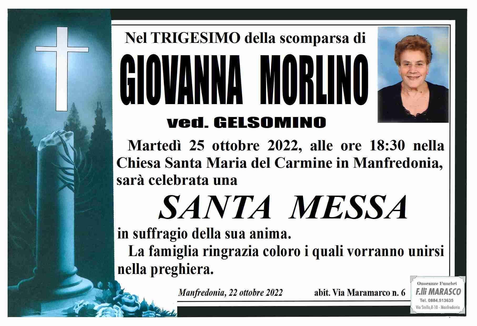 Giovanna Morlino