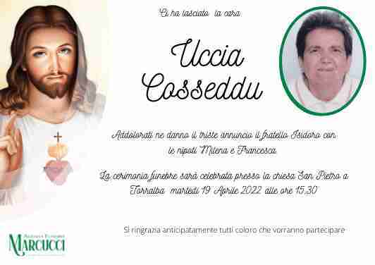 Uccia Cosseddu