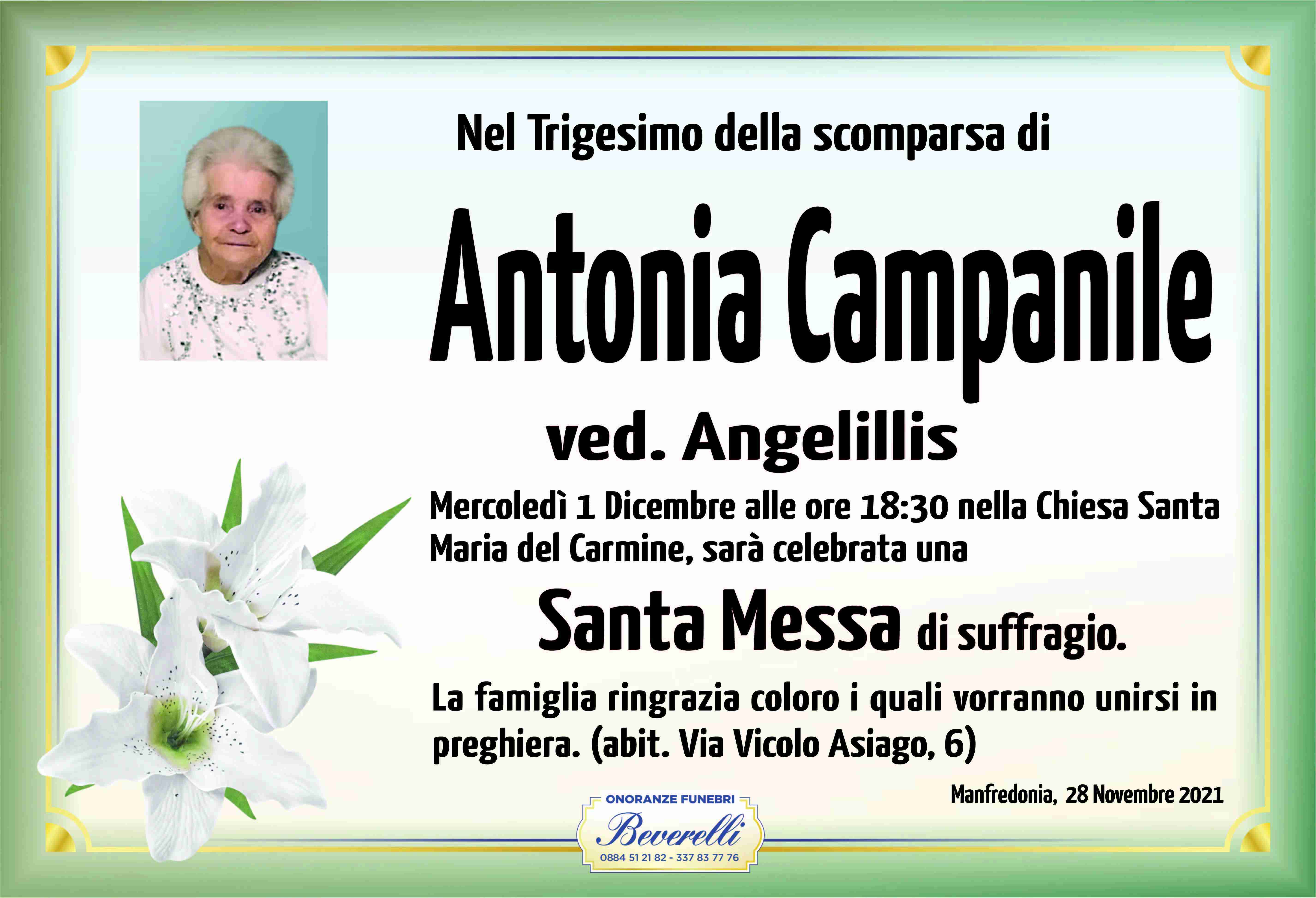 Antonia Campanile