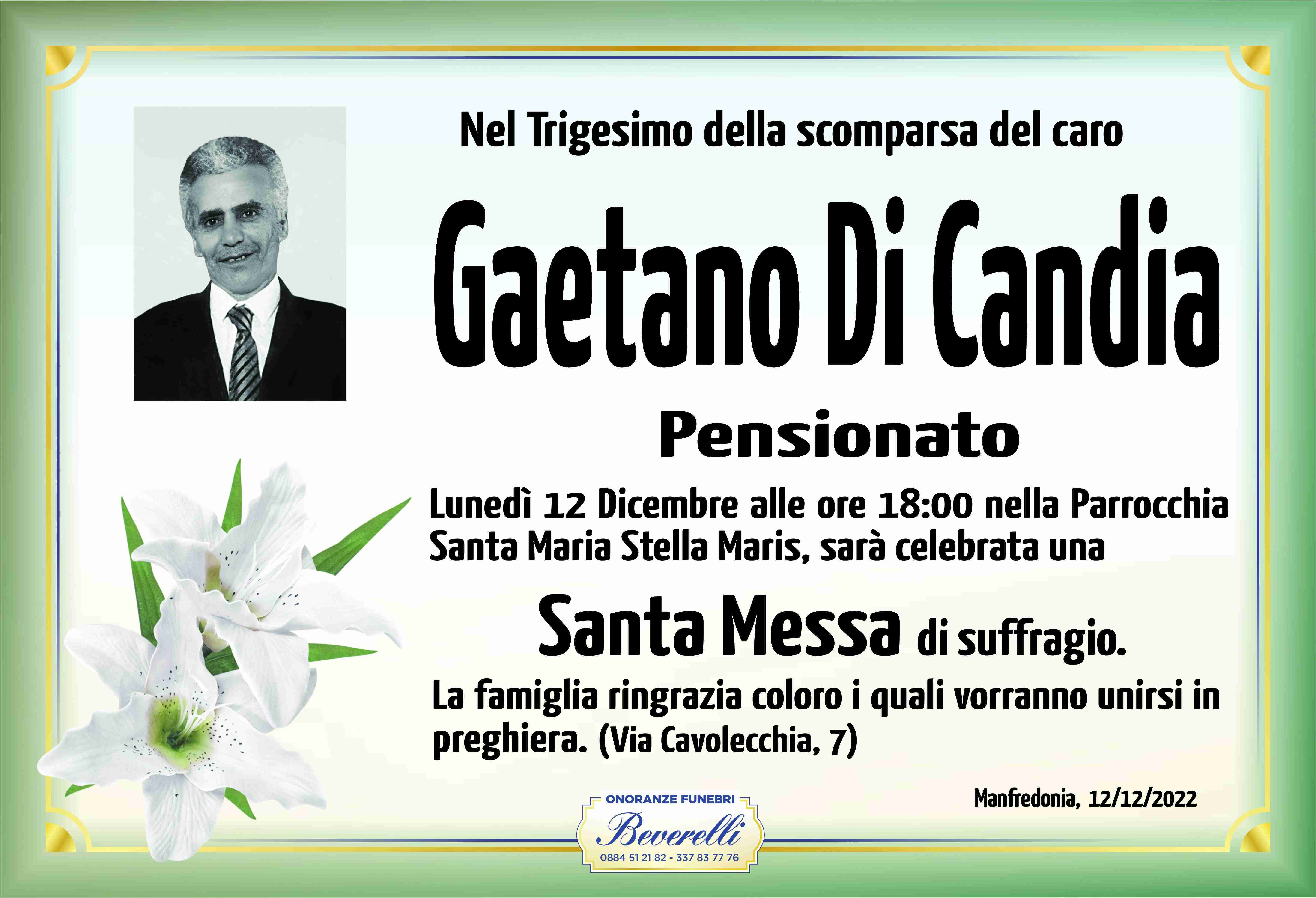 Gaetano Di Candia