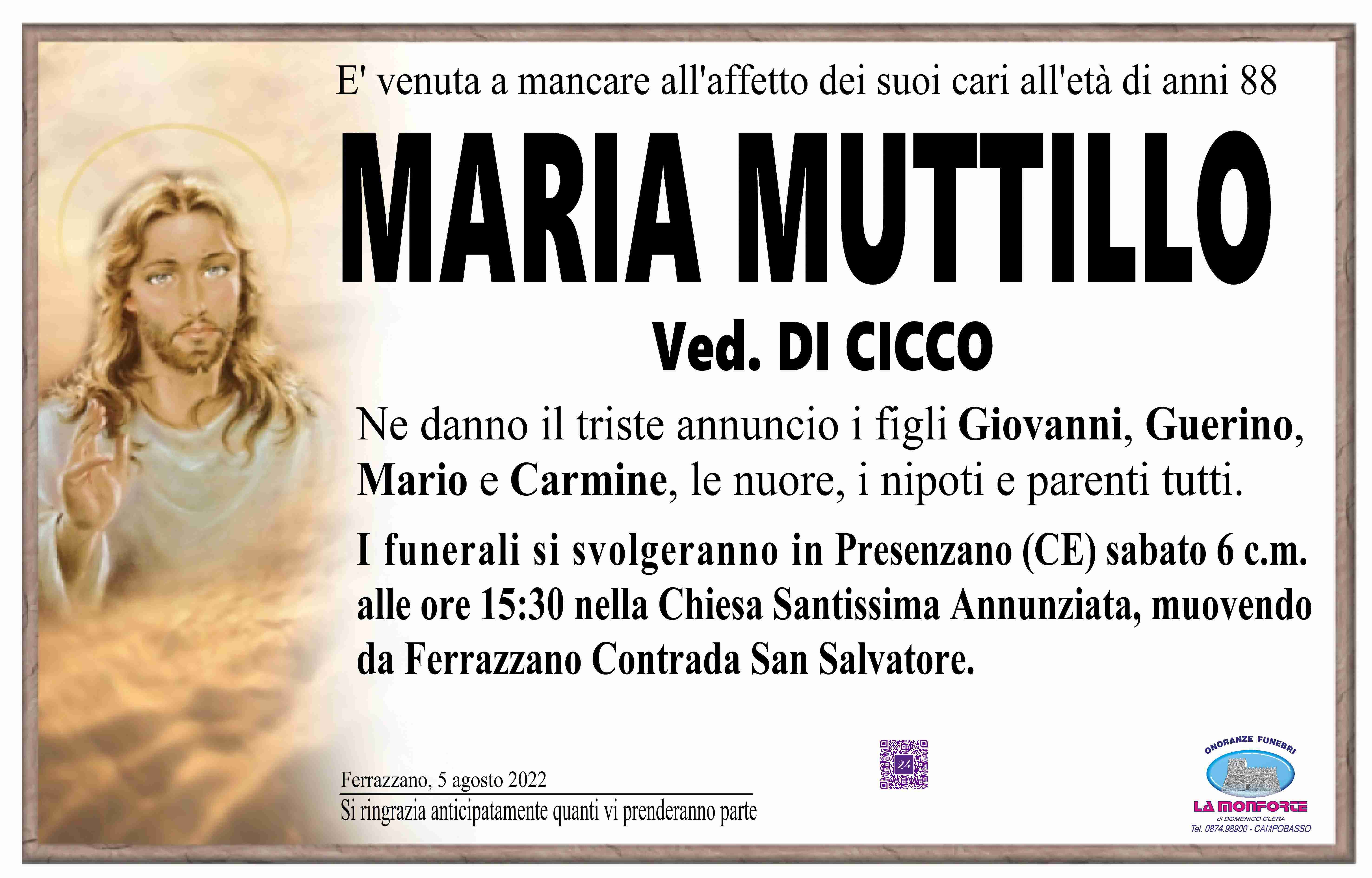 Maria Muttillo