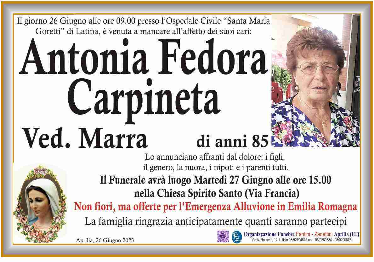 Antonia Fedora Carpineta