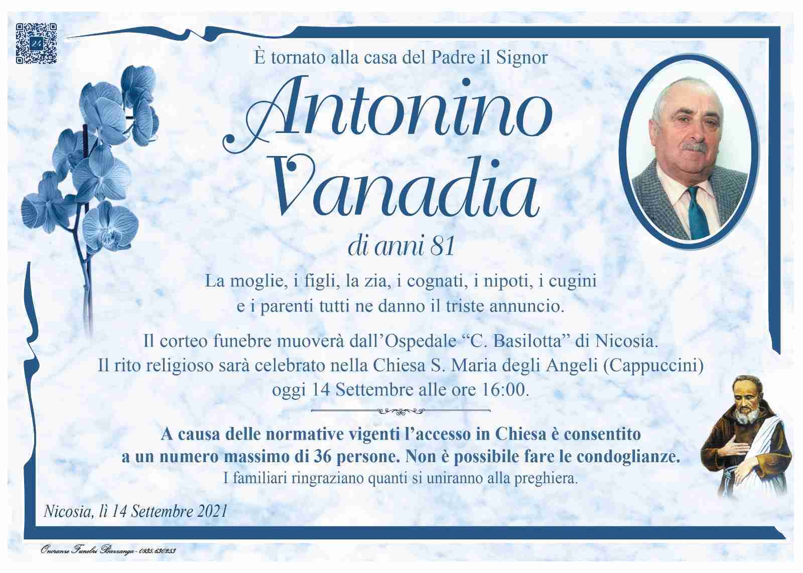 Antonino Vanadia