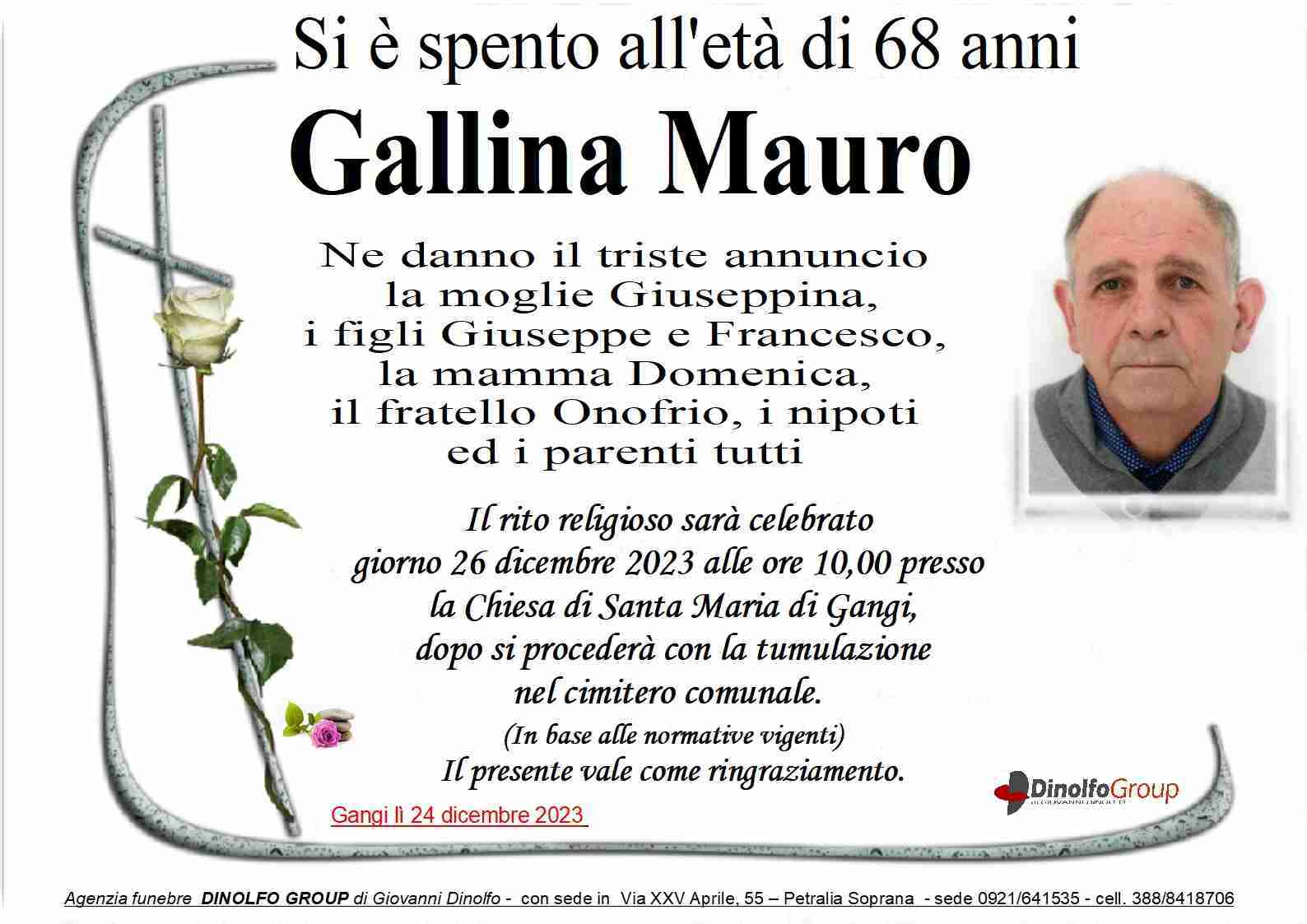 Mauro Gallina