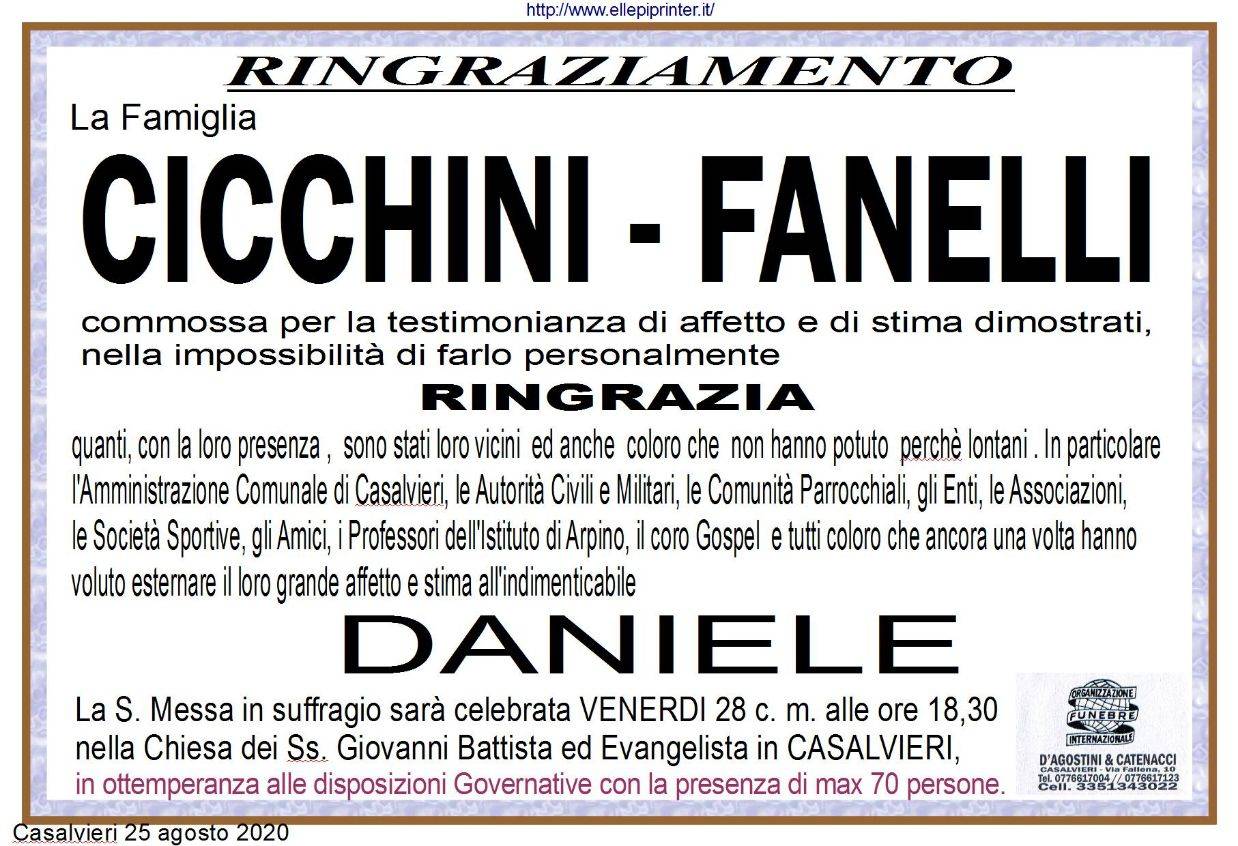 Daniele Fanelli