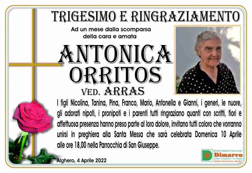 Antonica Orritos