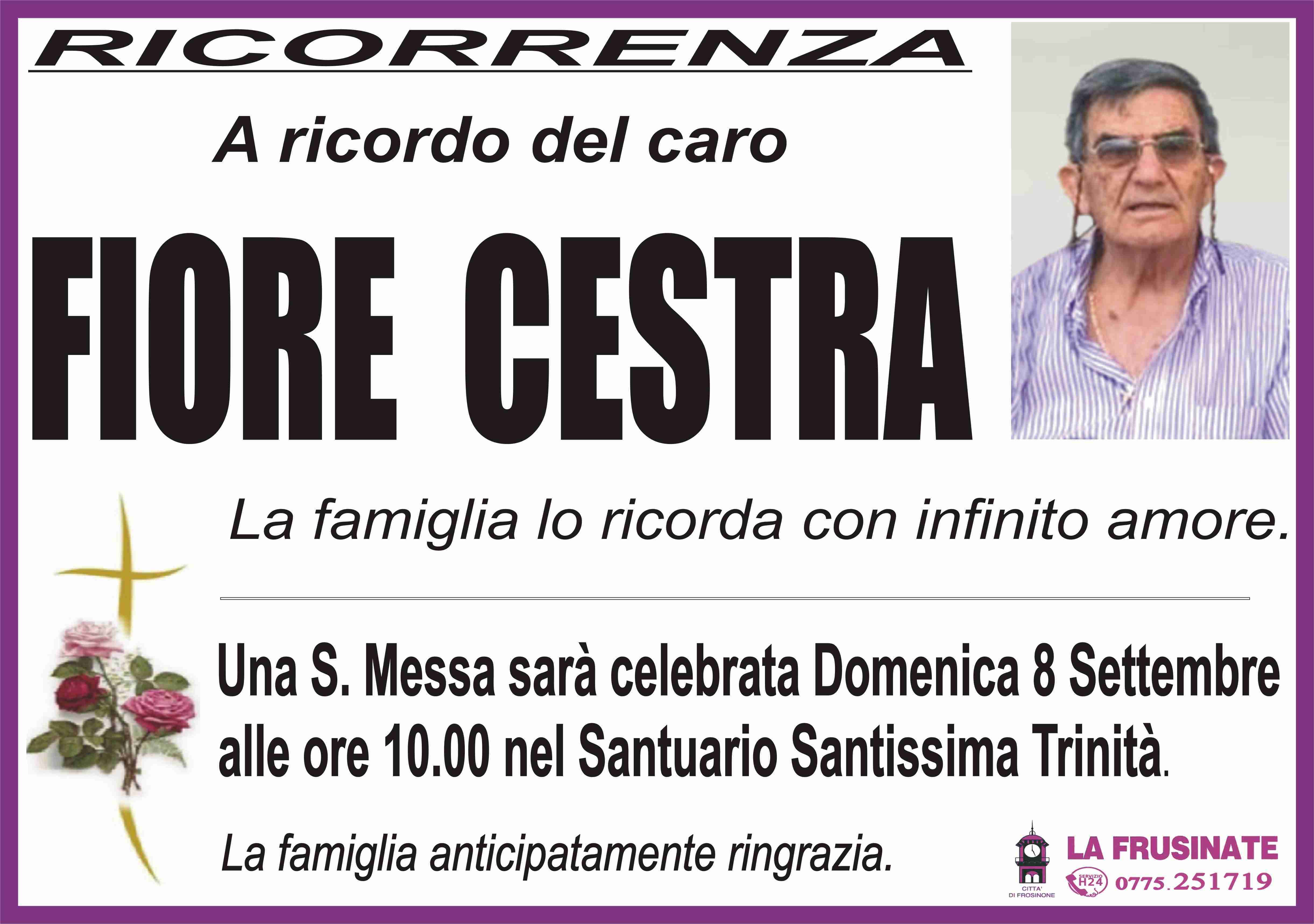 Fiore Cestra