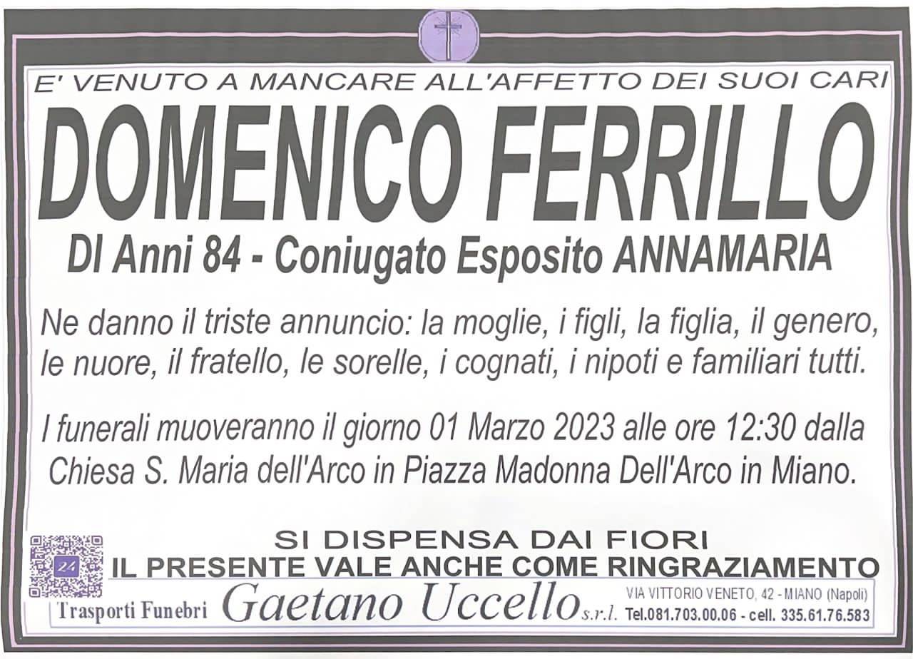 Domenico Ferrillo