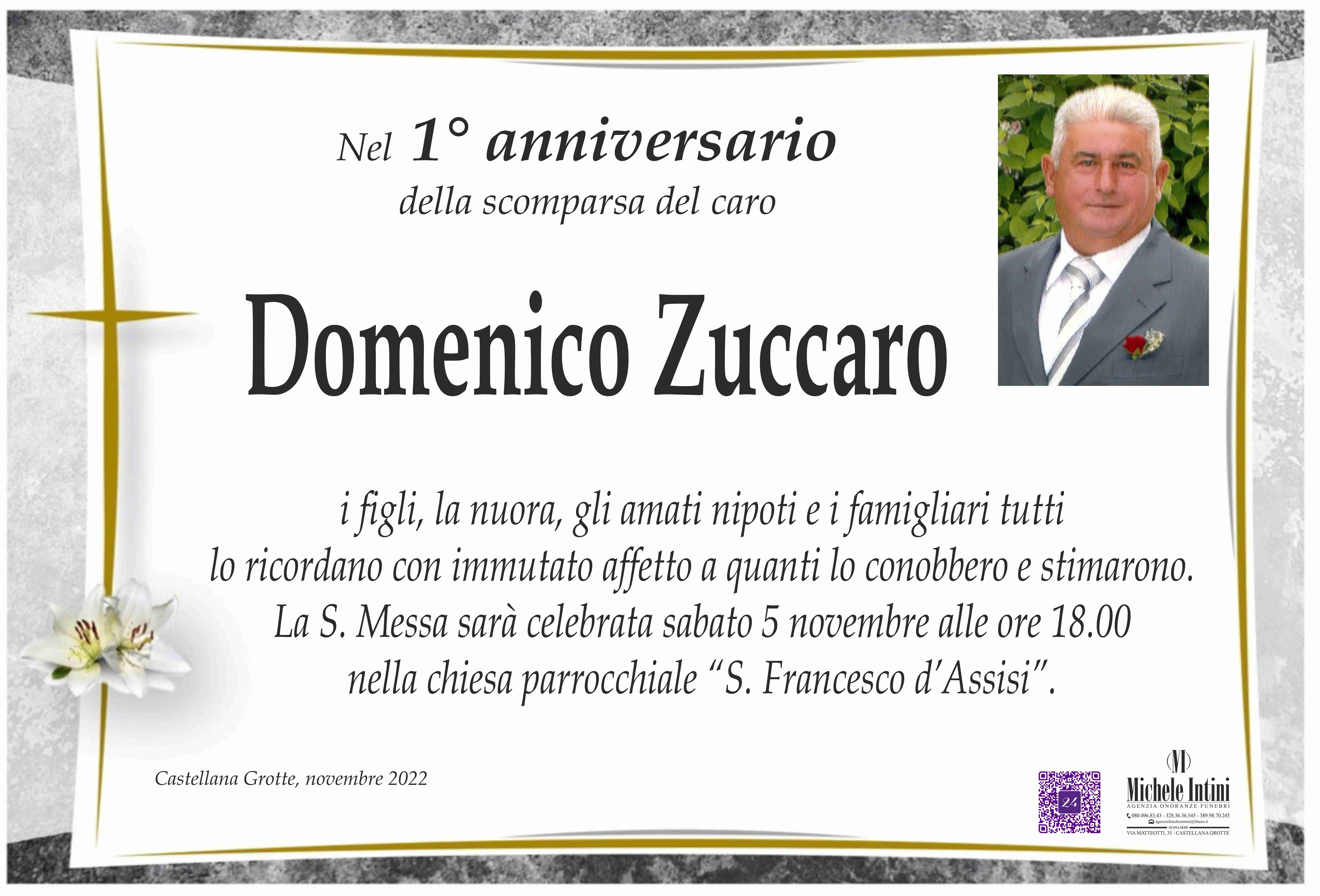 Domenico Zuccaro