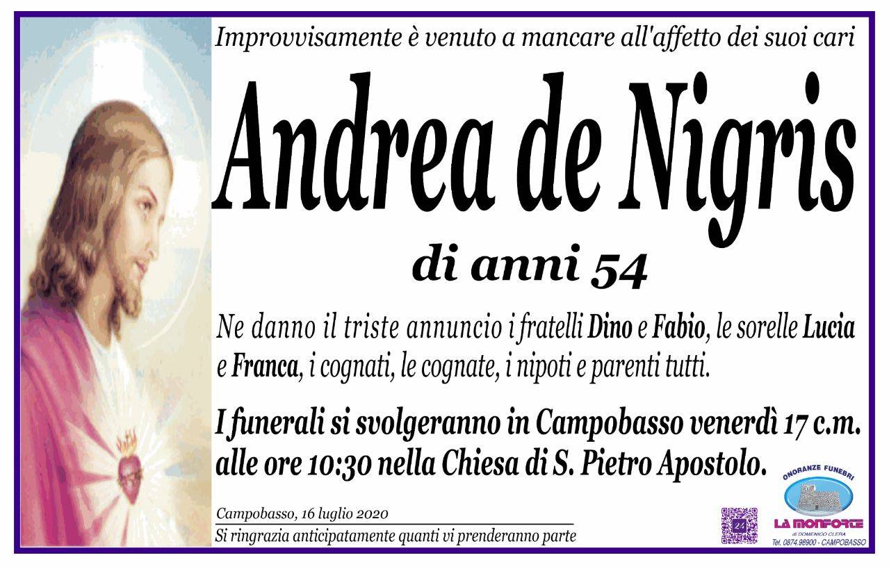 Andrea de Nigris