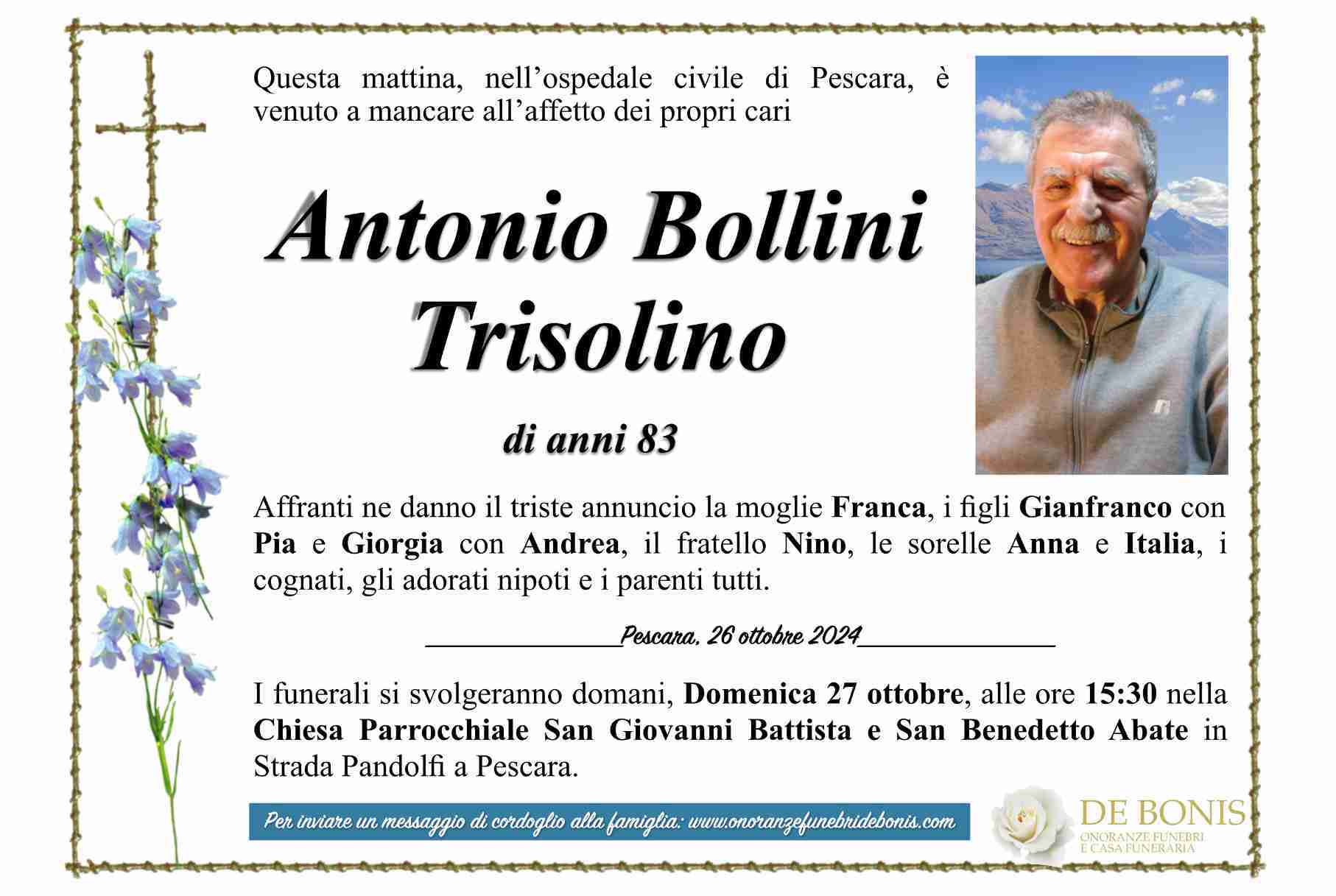 Antonio Bollini Trisolino