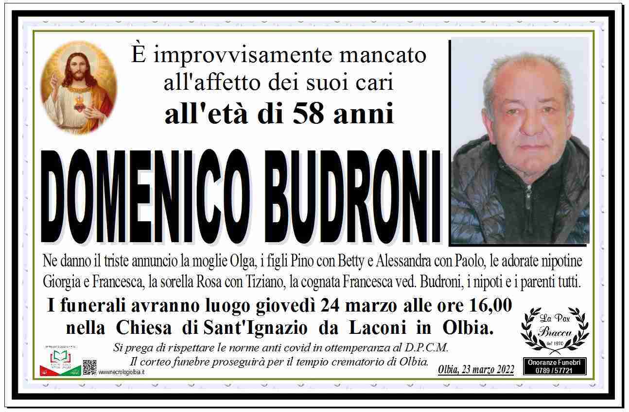 Domenico Budroni