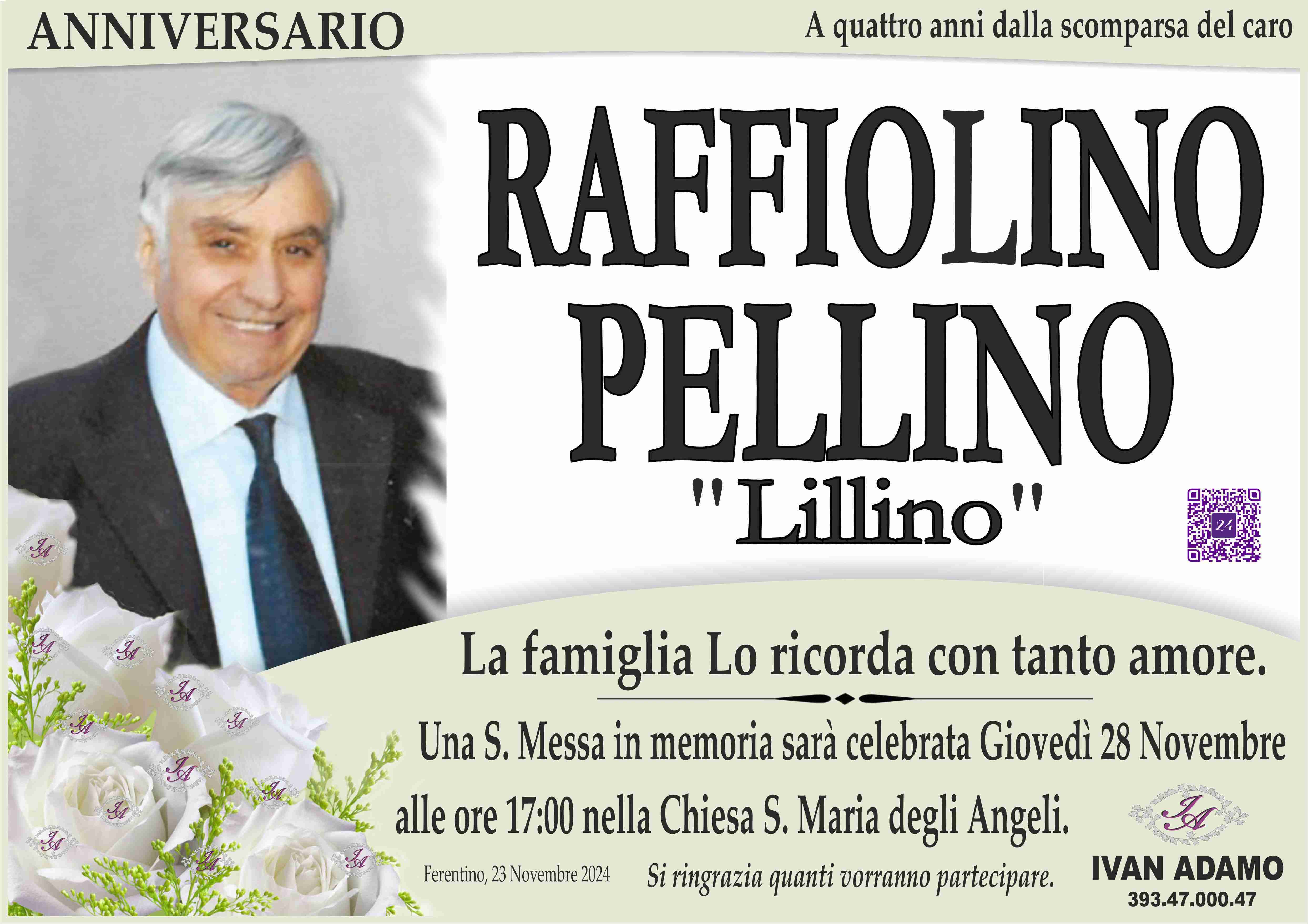 Raffiolino Pellino