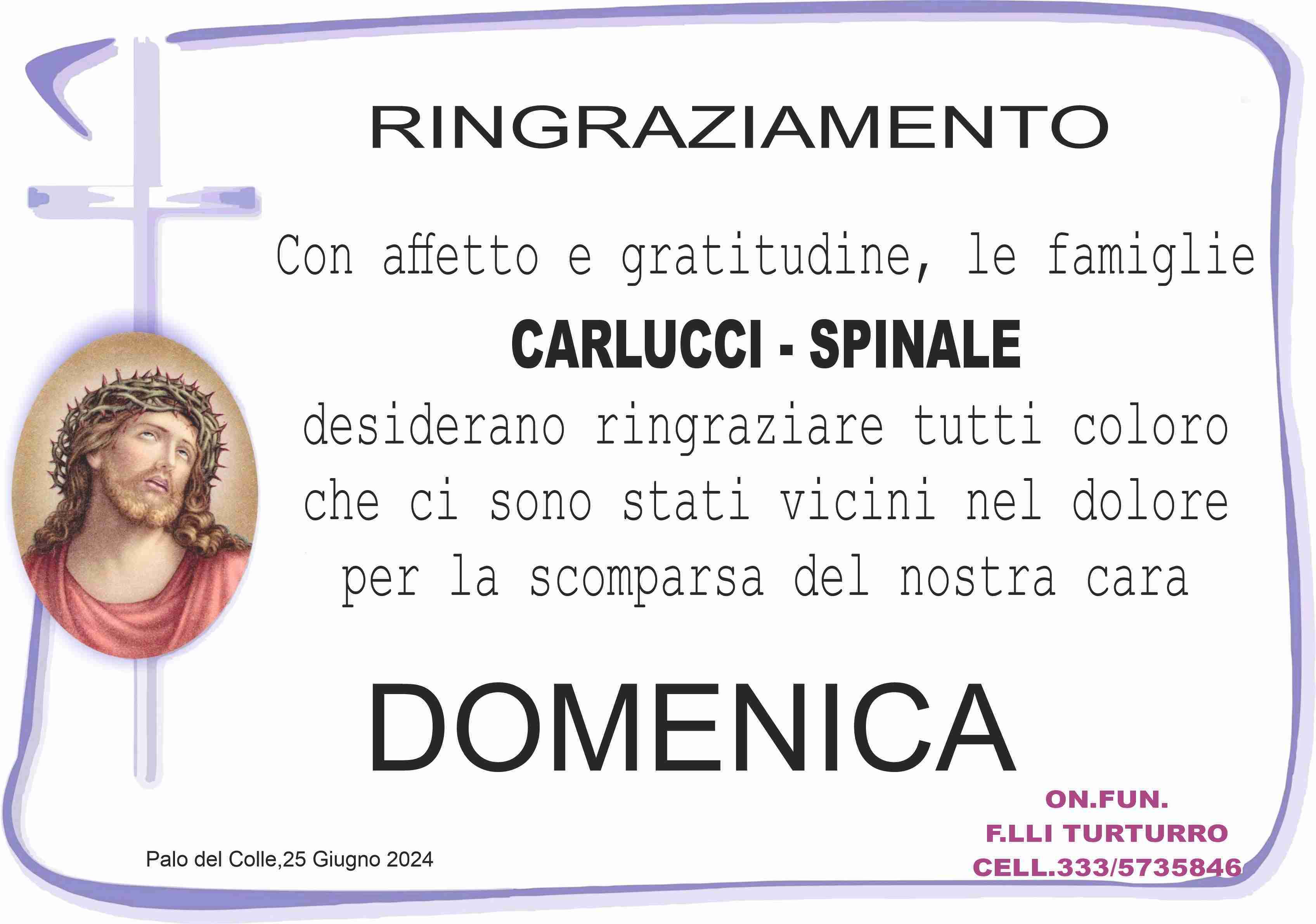 Domenica Spinale