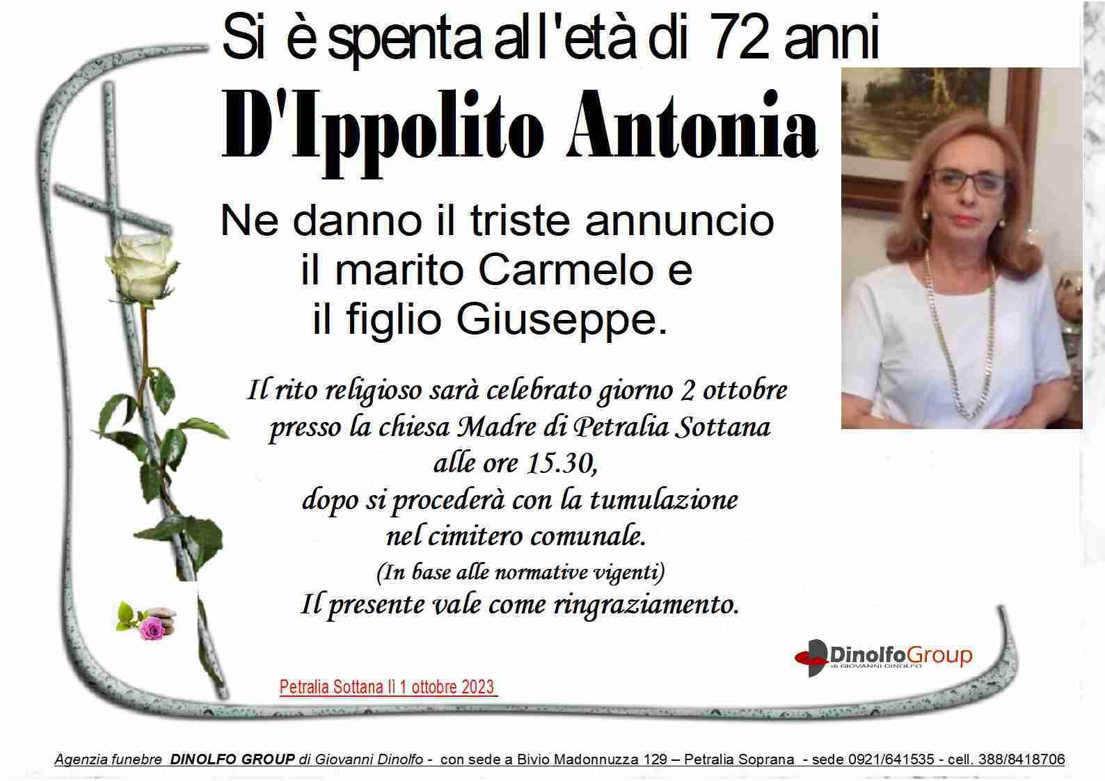 Antonia D'Ippolito