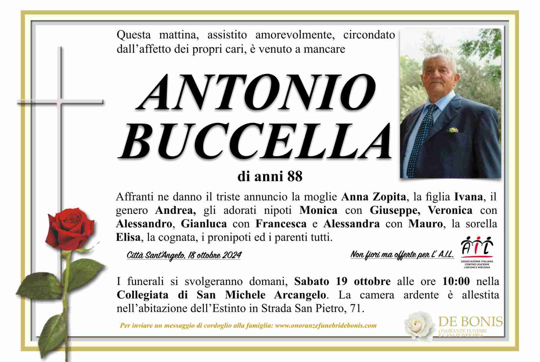 Antonio Buccella