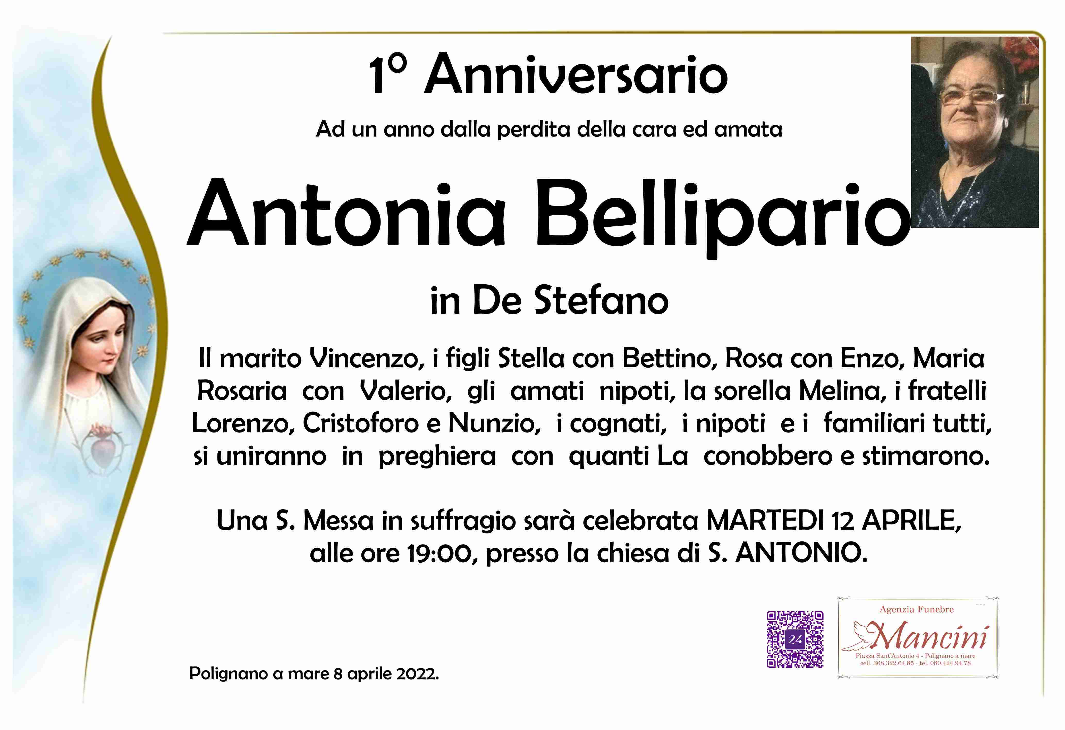 Antonia Bellipario