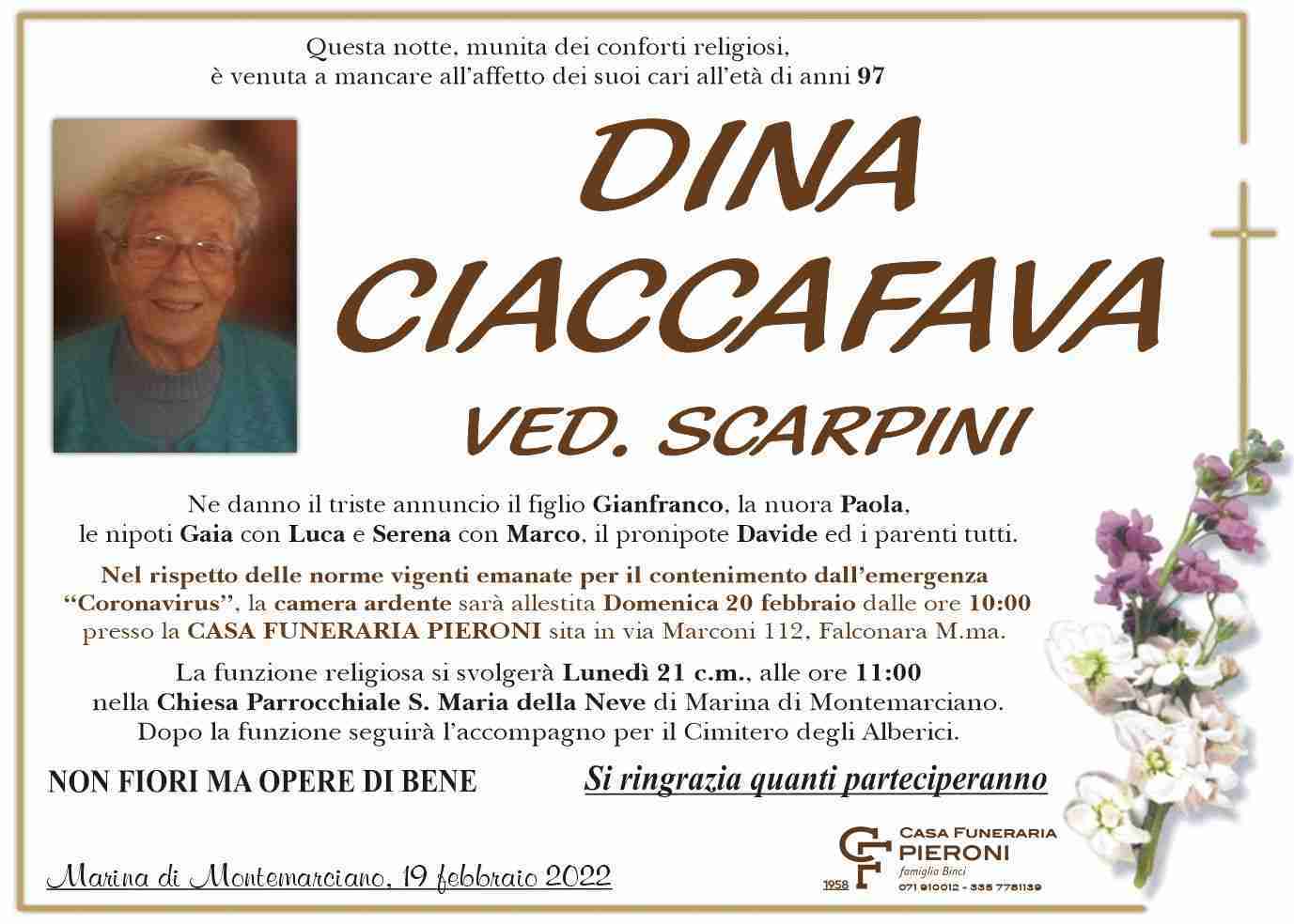 Dina Ciaccafava