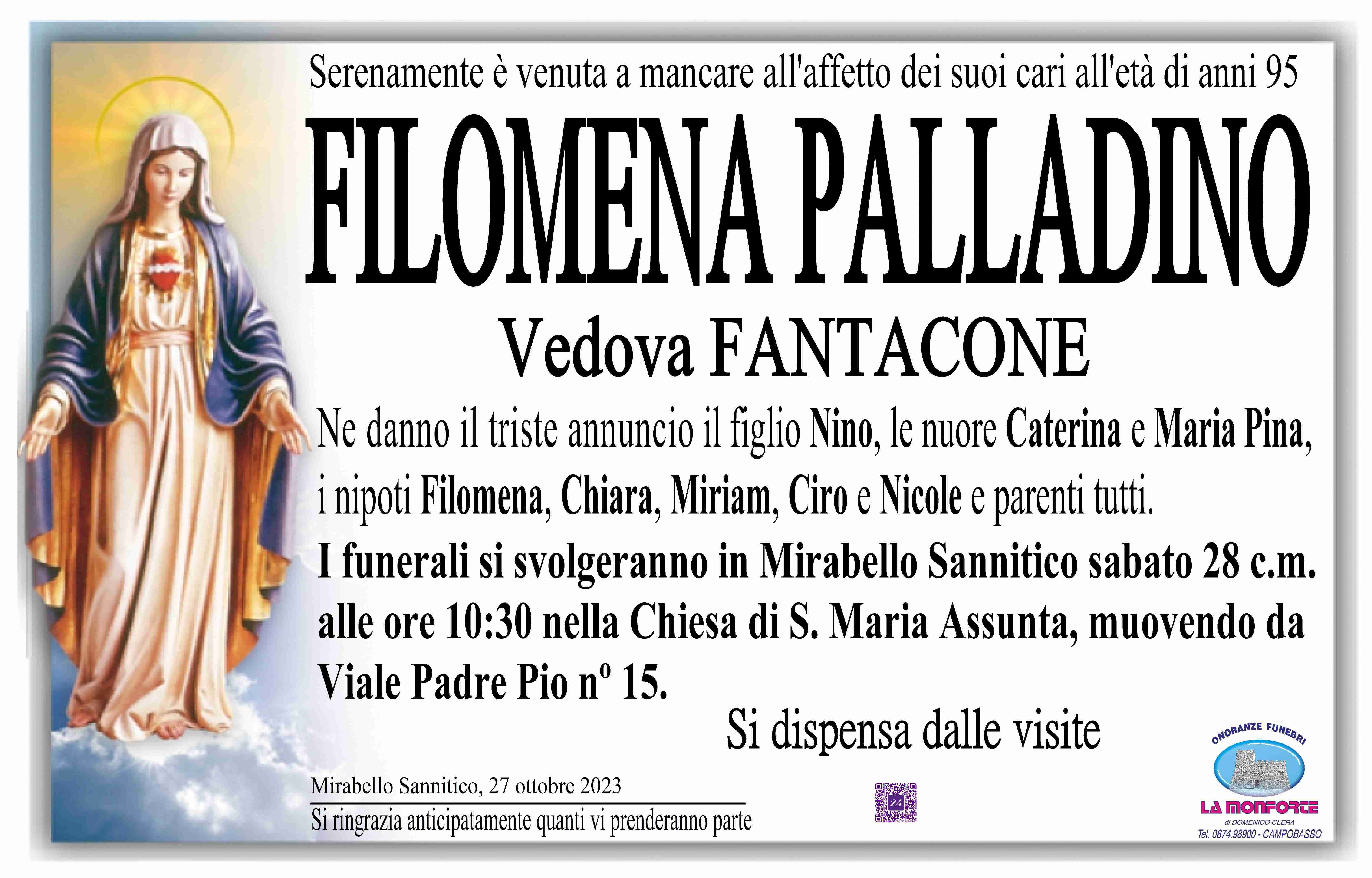 Filomena Palladino