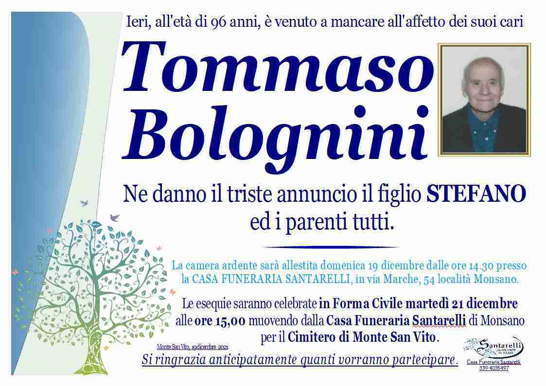 Tommaso Bolognini